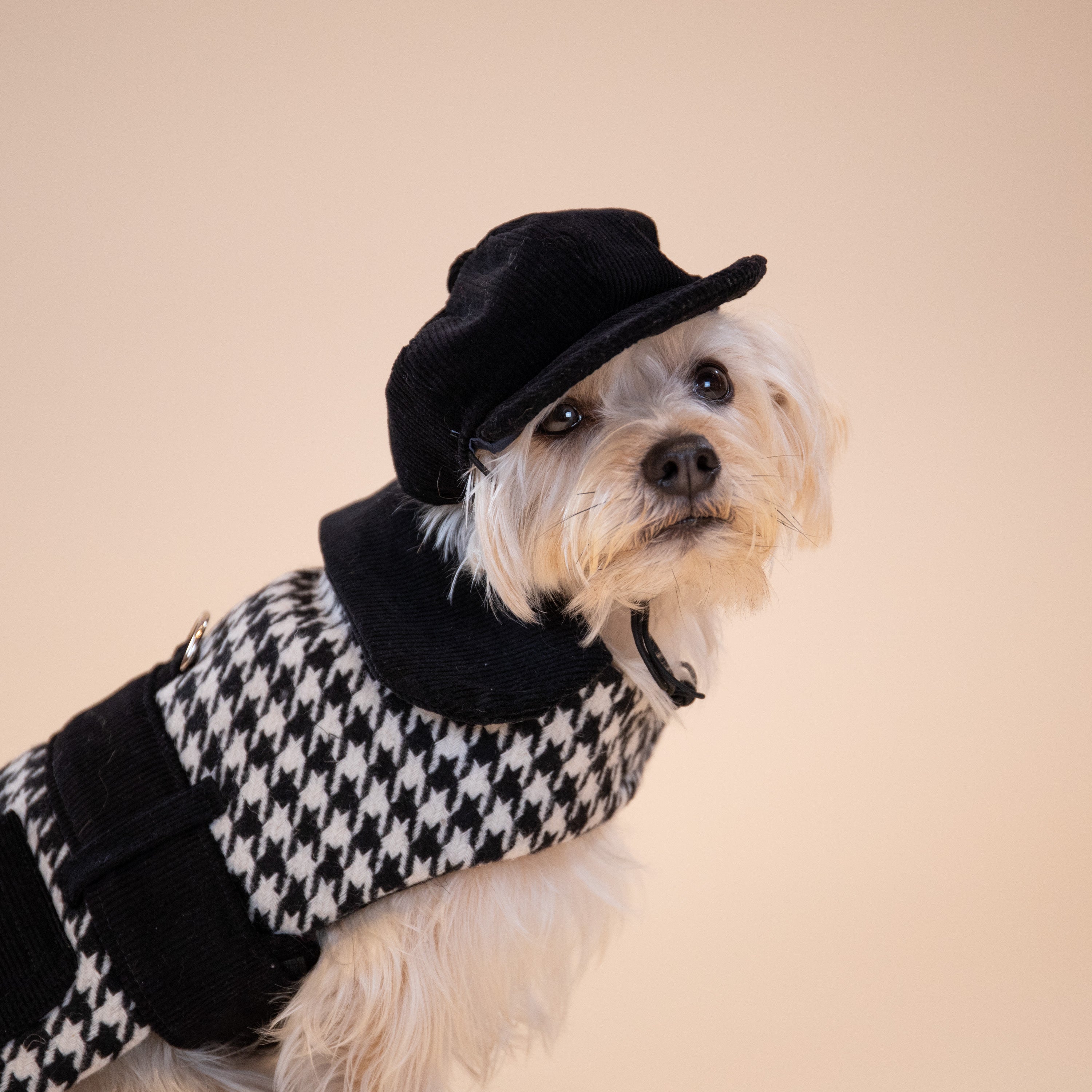 Londonesque Saddle Jacket