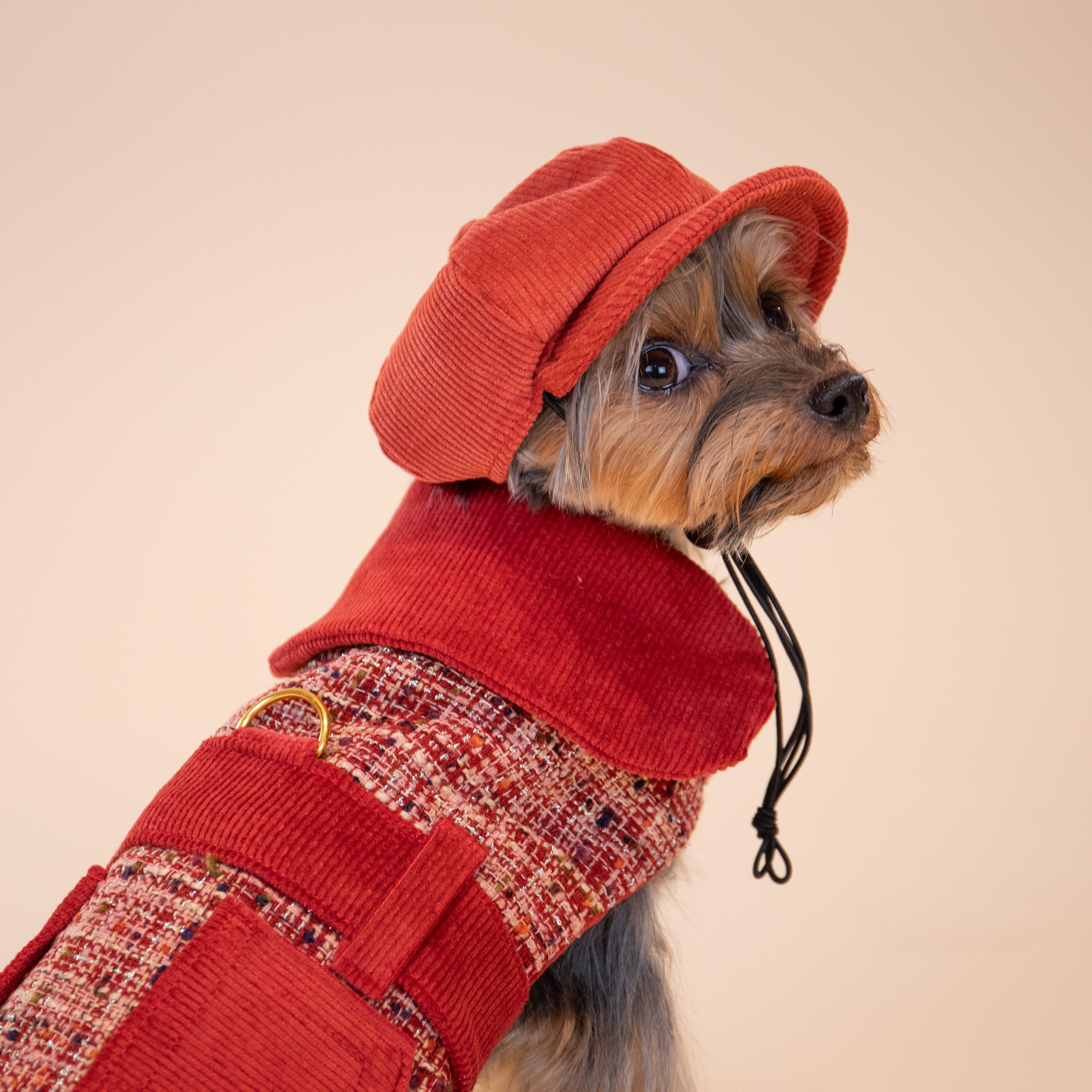 Londonesque Saddle Jacket