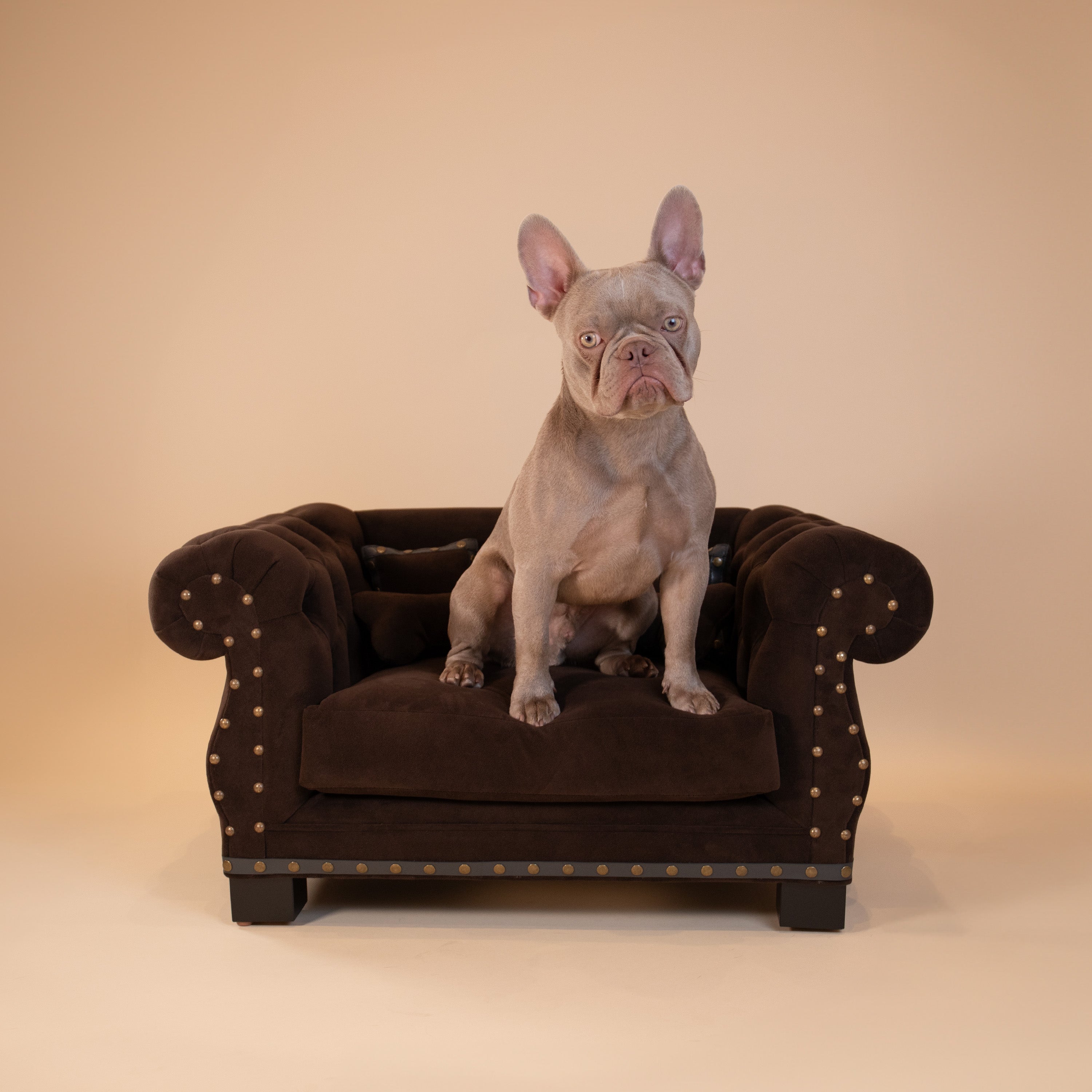 Hermes Chesterfield Sofabed