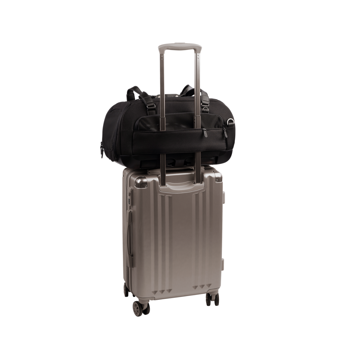 Dupree II Travel System