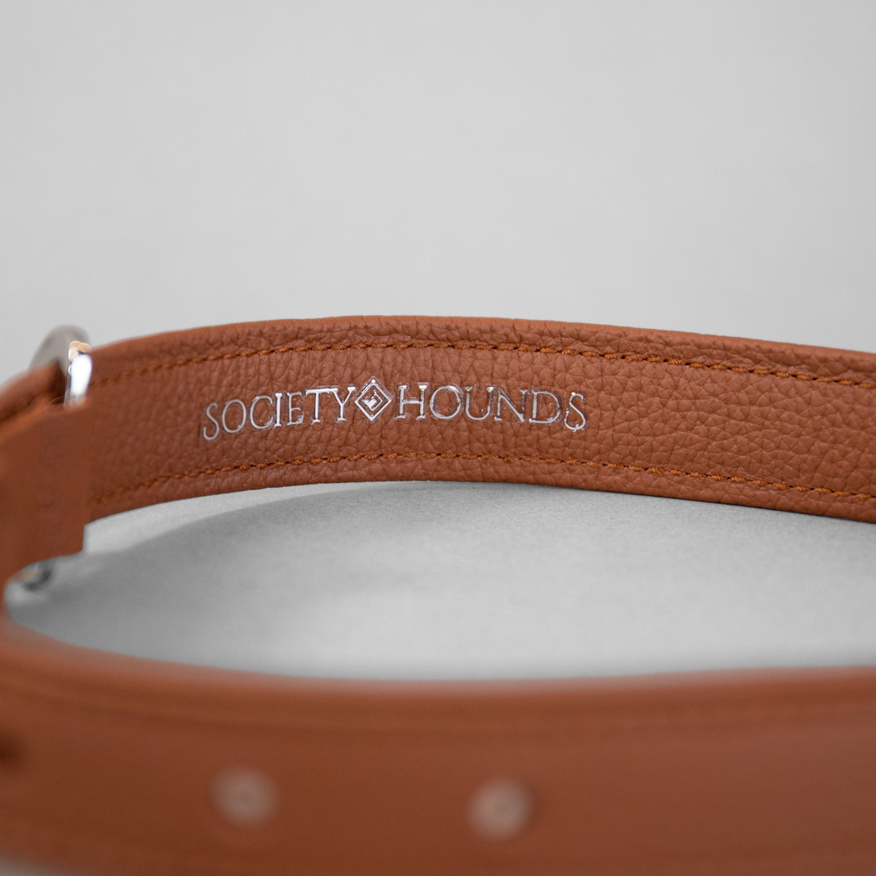 The Original Collar