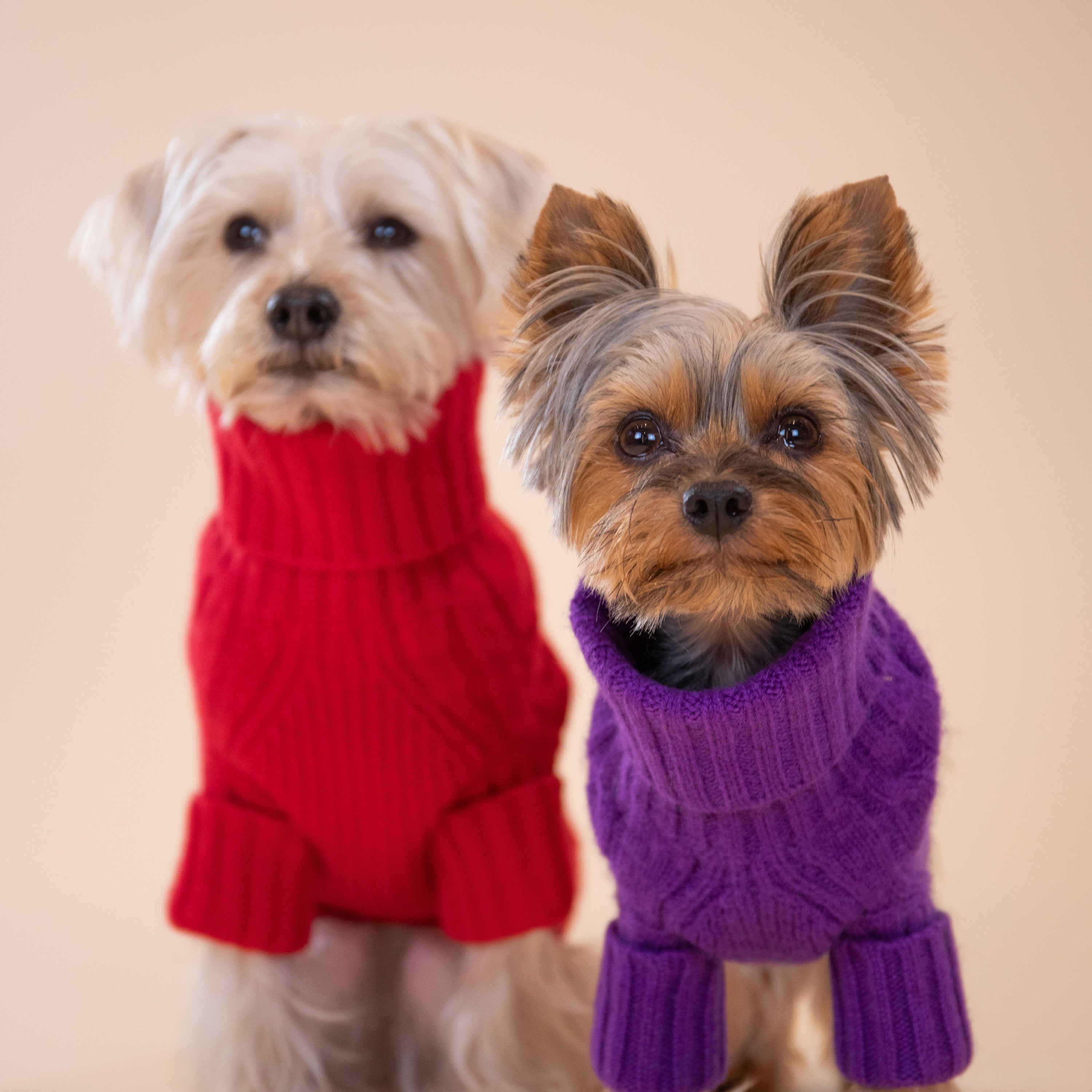 Ralph Lauren Cable Cashmere Sweater