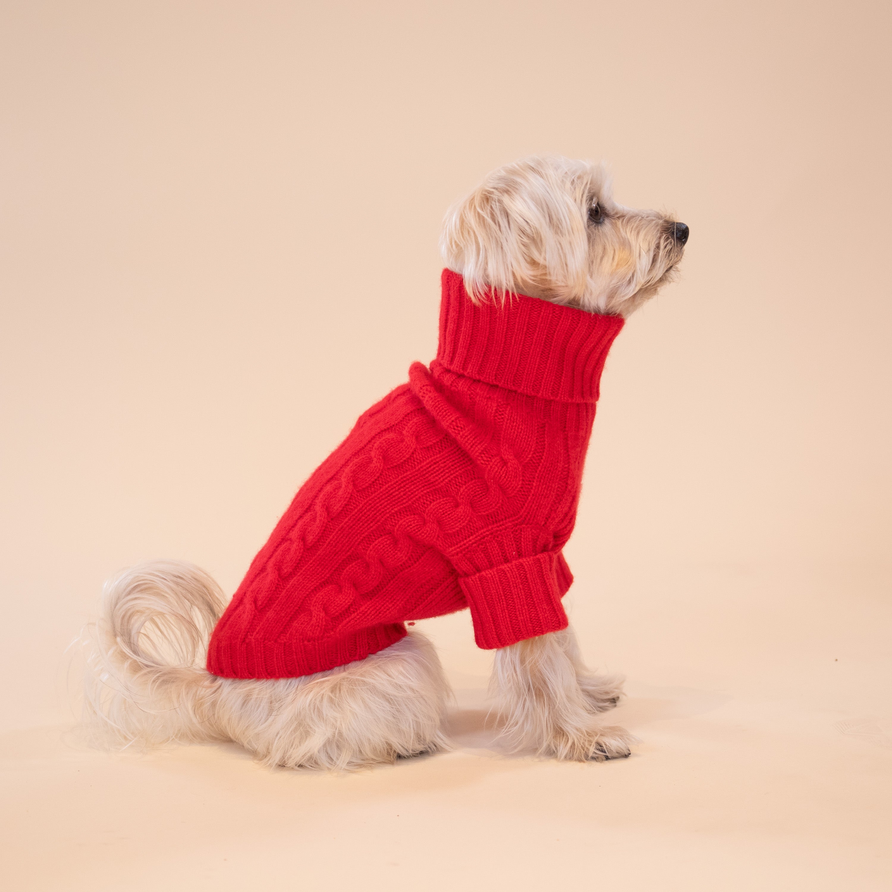 Ralph Lauren Cable Cashmere Sweater