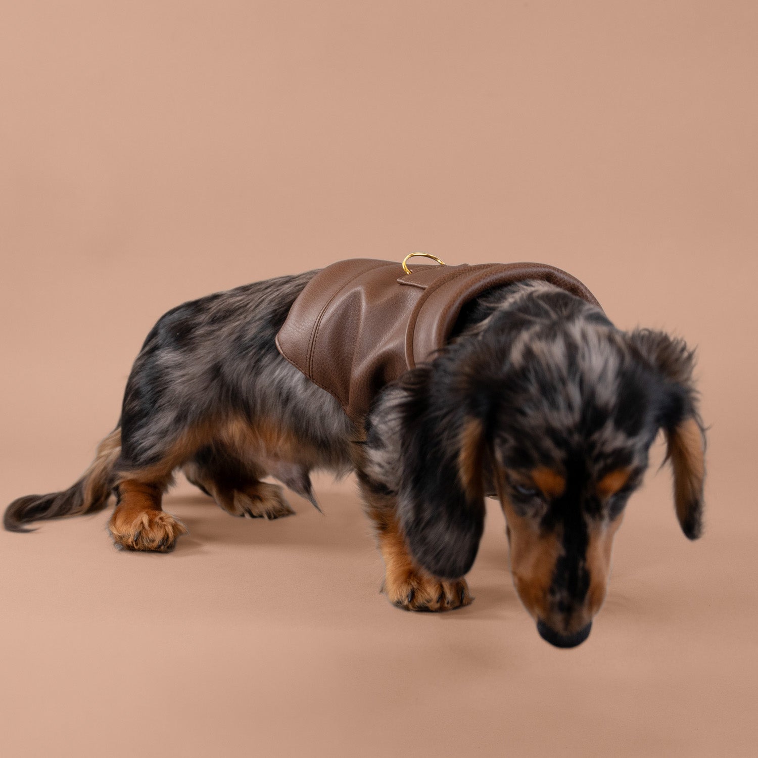 Woodland Faux Leather Jacket