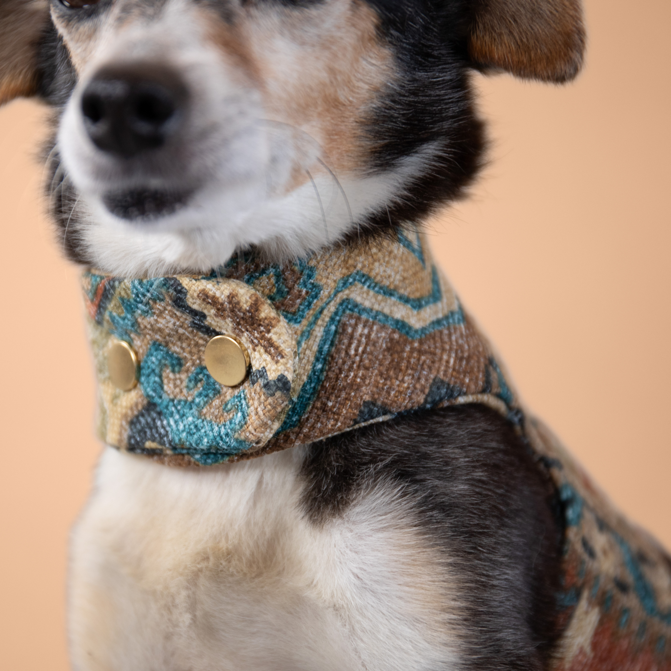 Boho Woven Harness