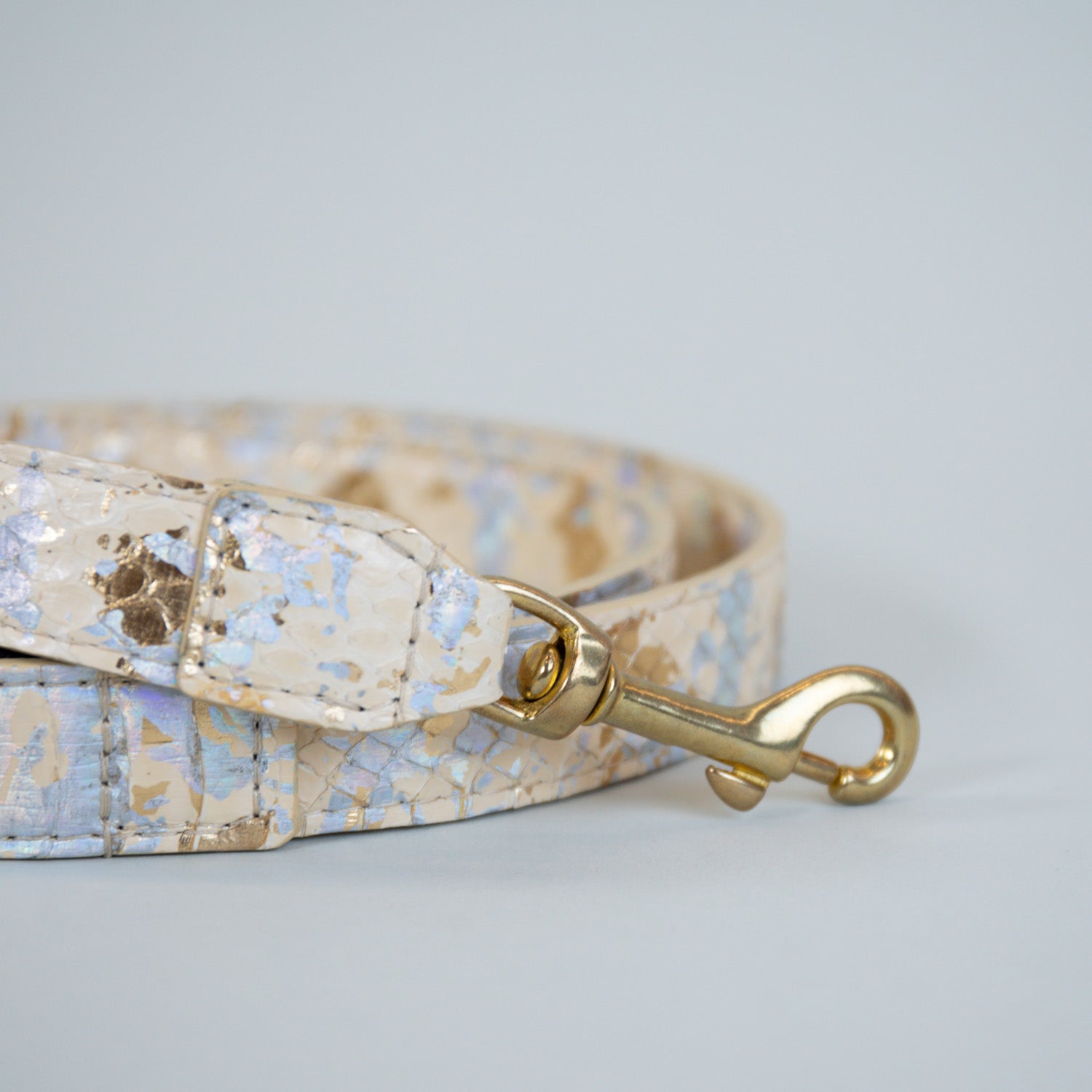 Iridescent Kaleidoscope Leash