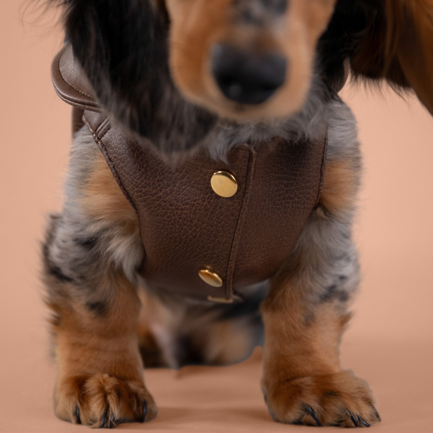 Woodland Faux Leather Jacket