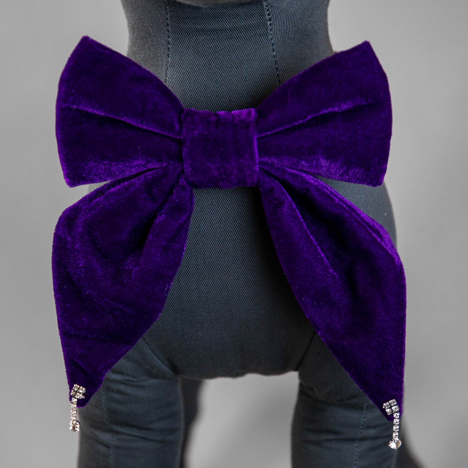 Glistening Velvet Bow