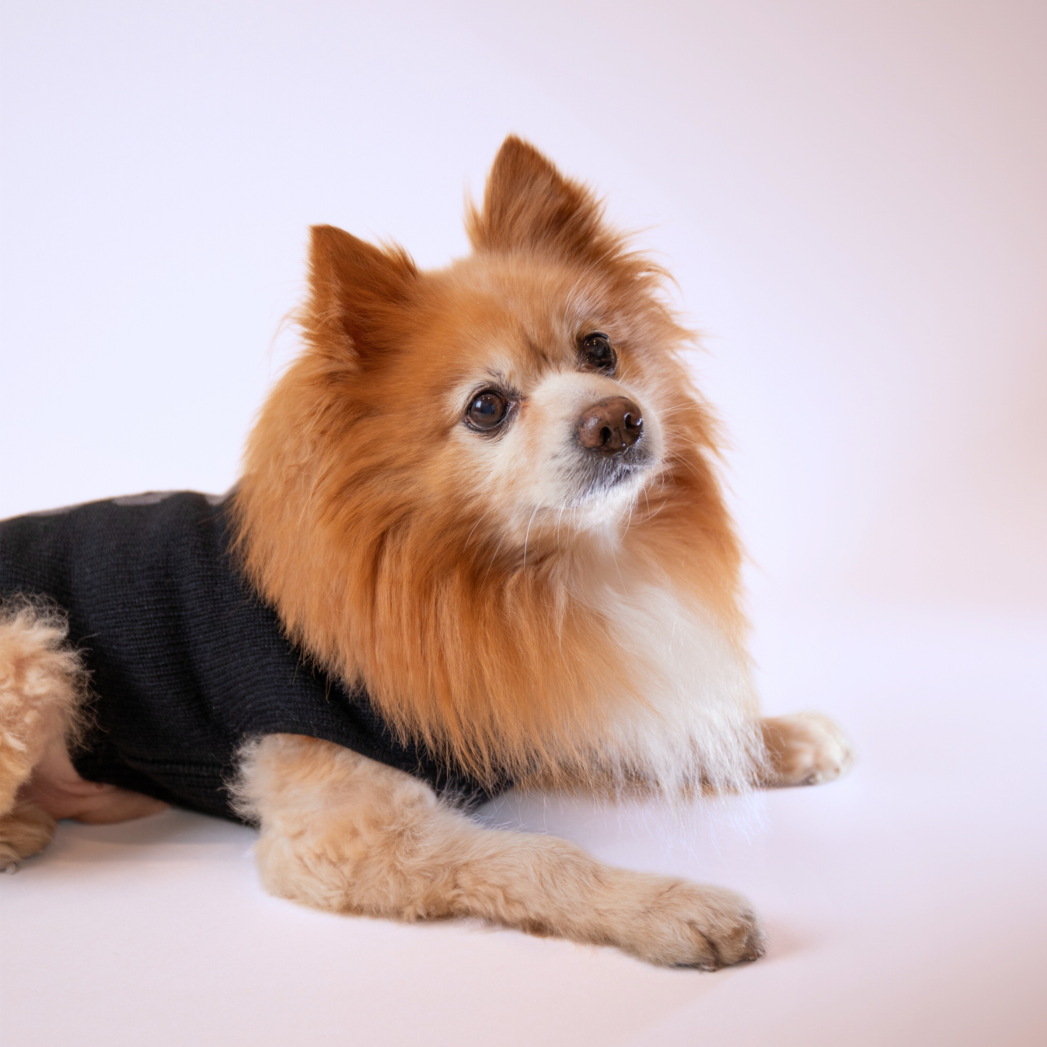 BOSS Logo Sweater