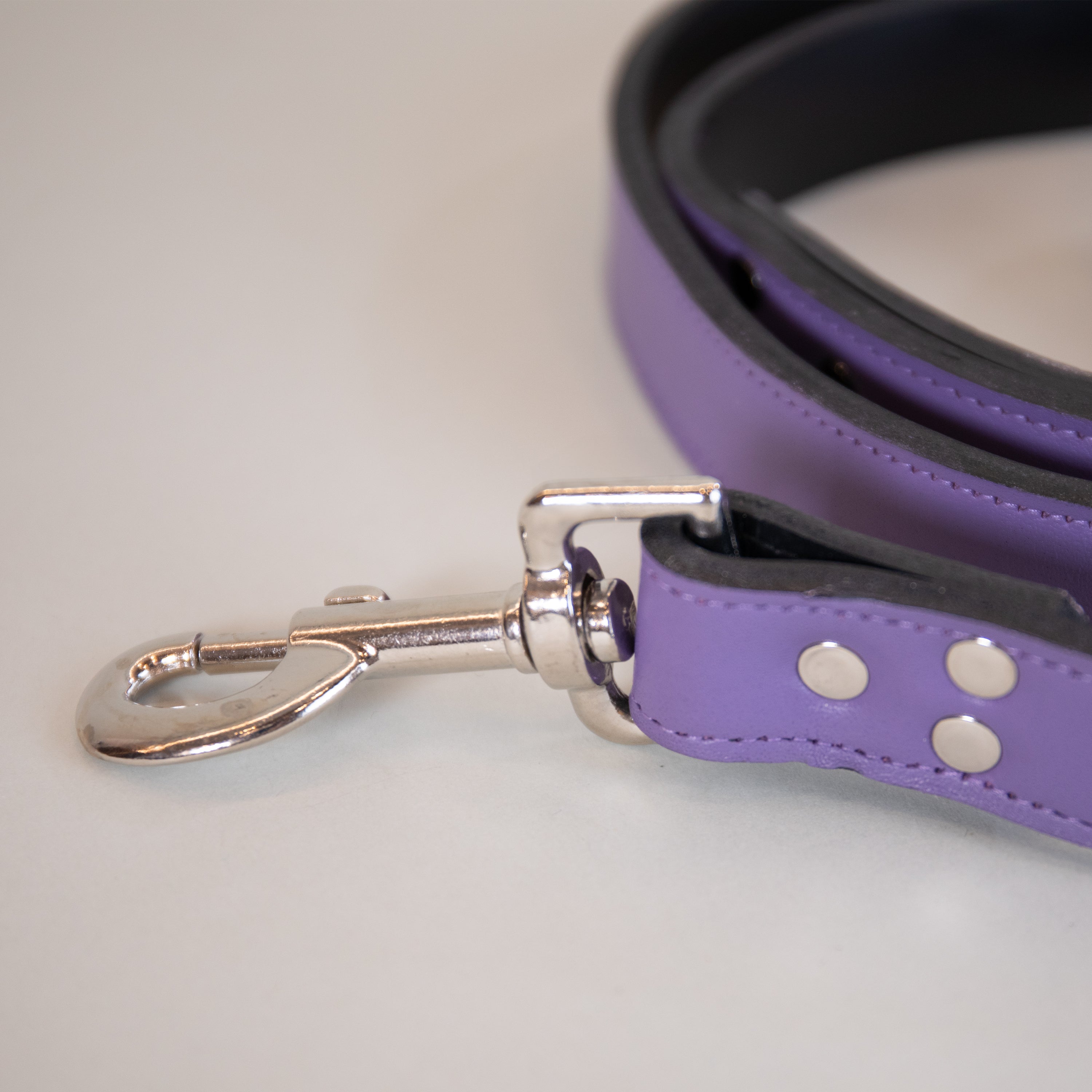 Arabian Night Leashes