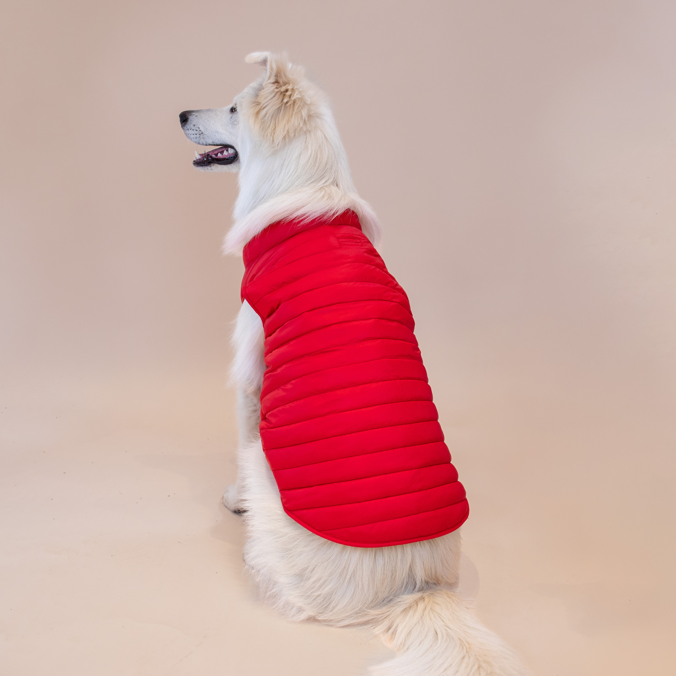 Ralph Lauren Puffer Jacket