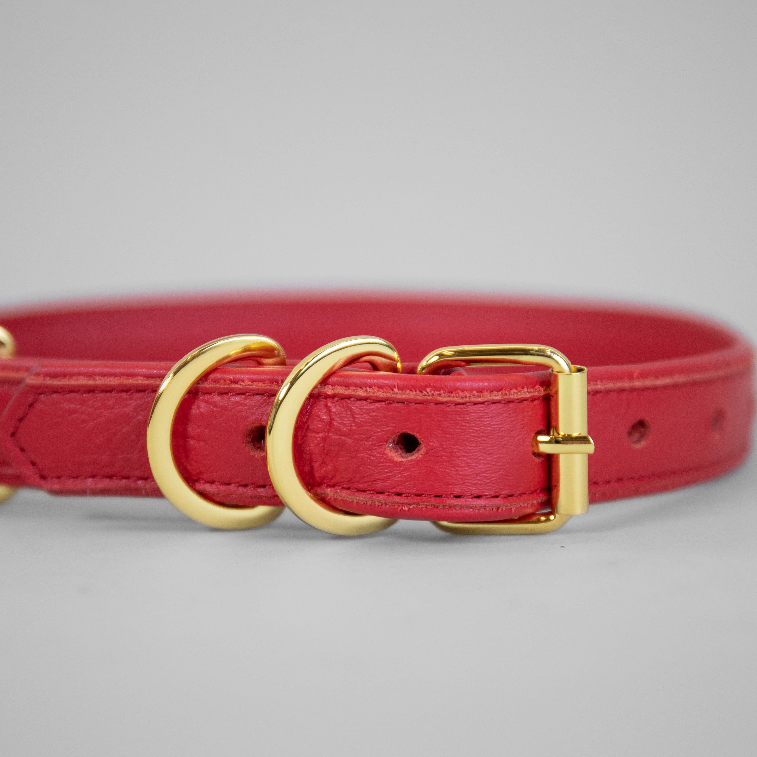 The Original Collar