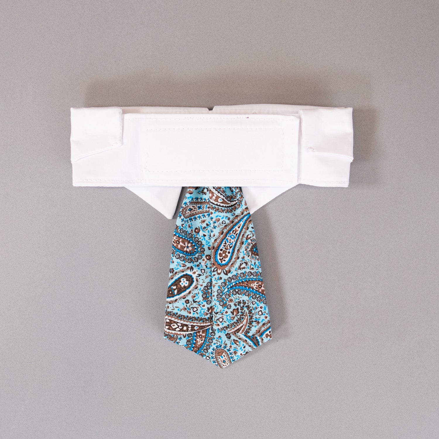 Paisley Tie