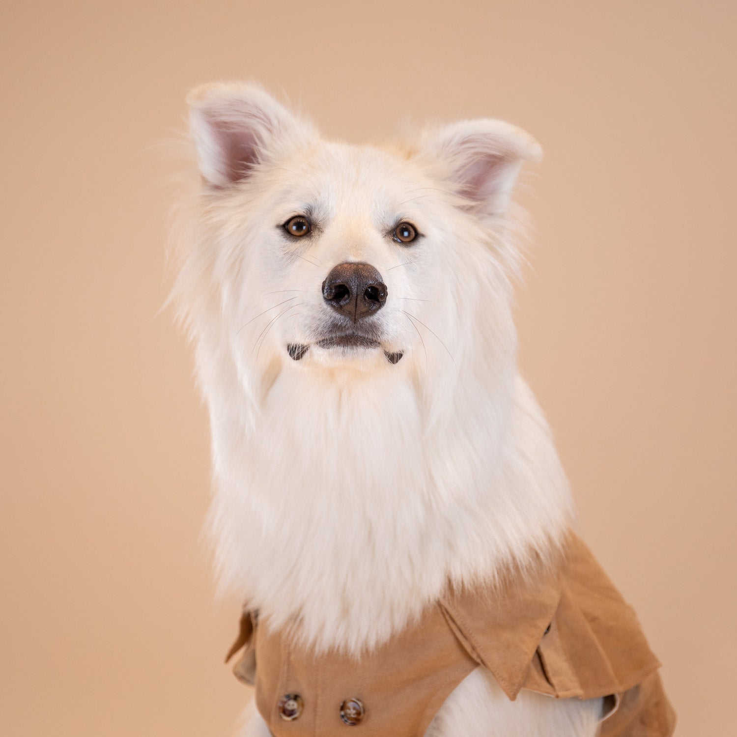 Sweetheart Suede Overcoat