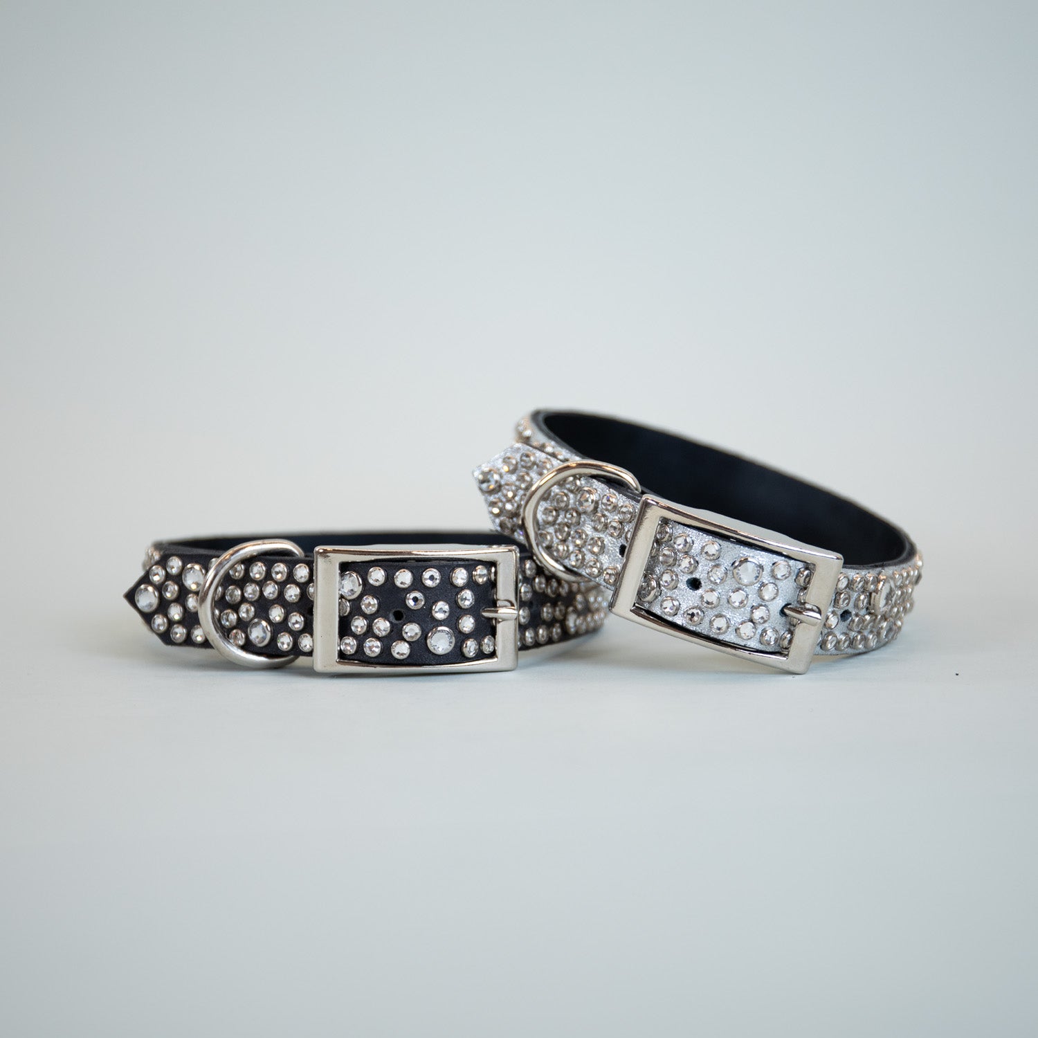 Starry Night Collars
