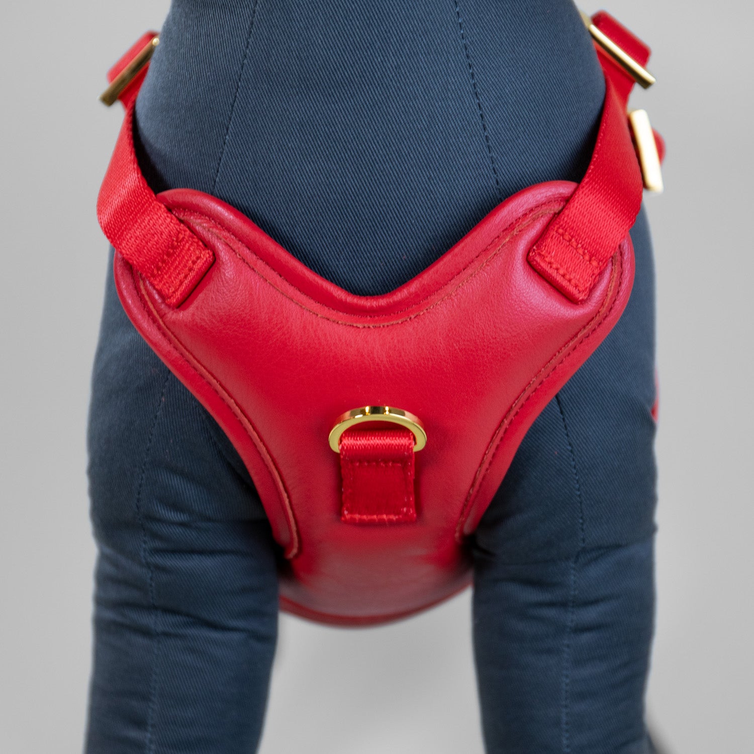 The Original Harness