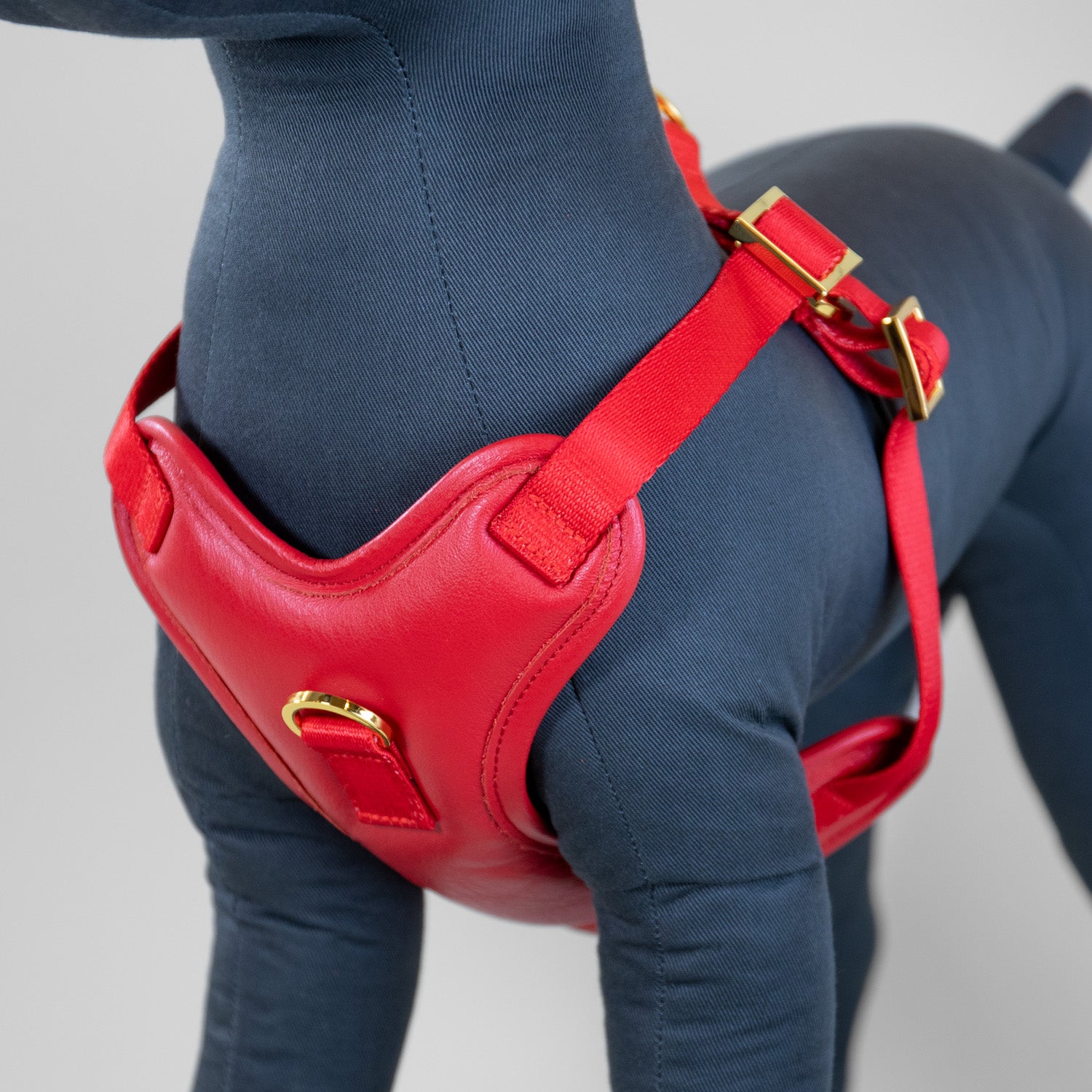 The Original Harness