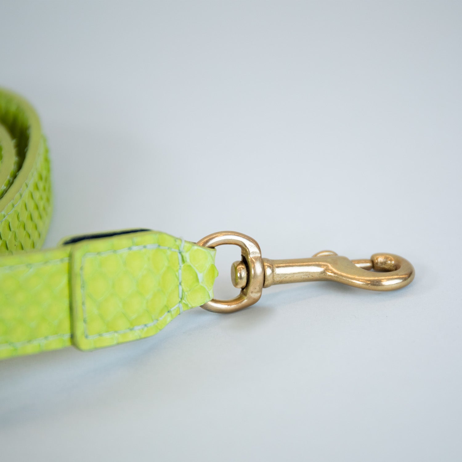 Neon Borealis Leash