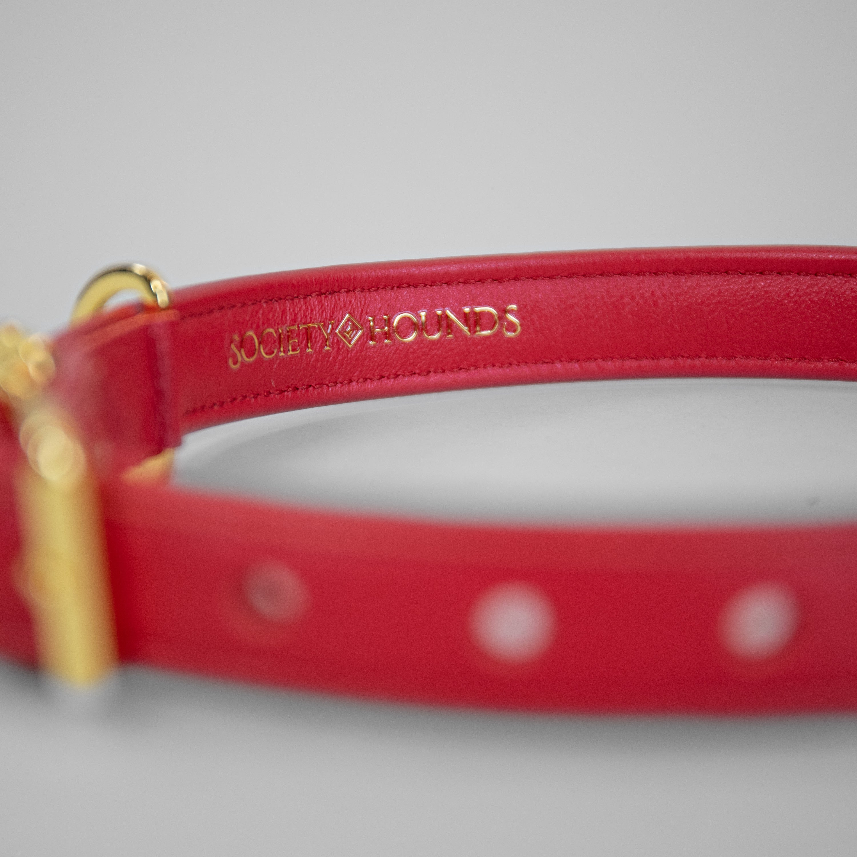 The Original Collar