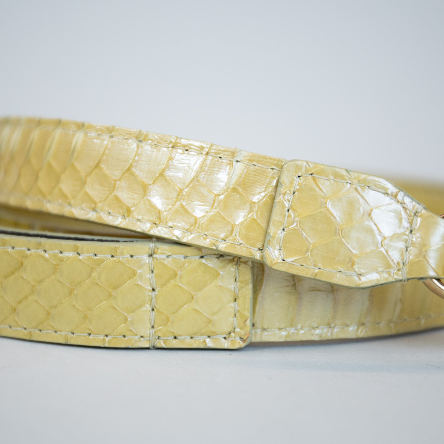 Pearly Dunes Leash