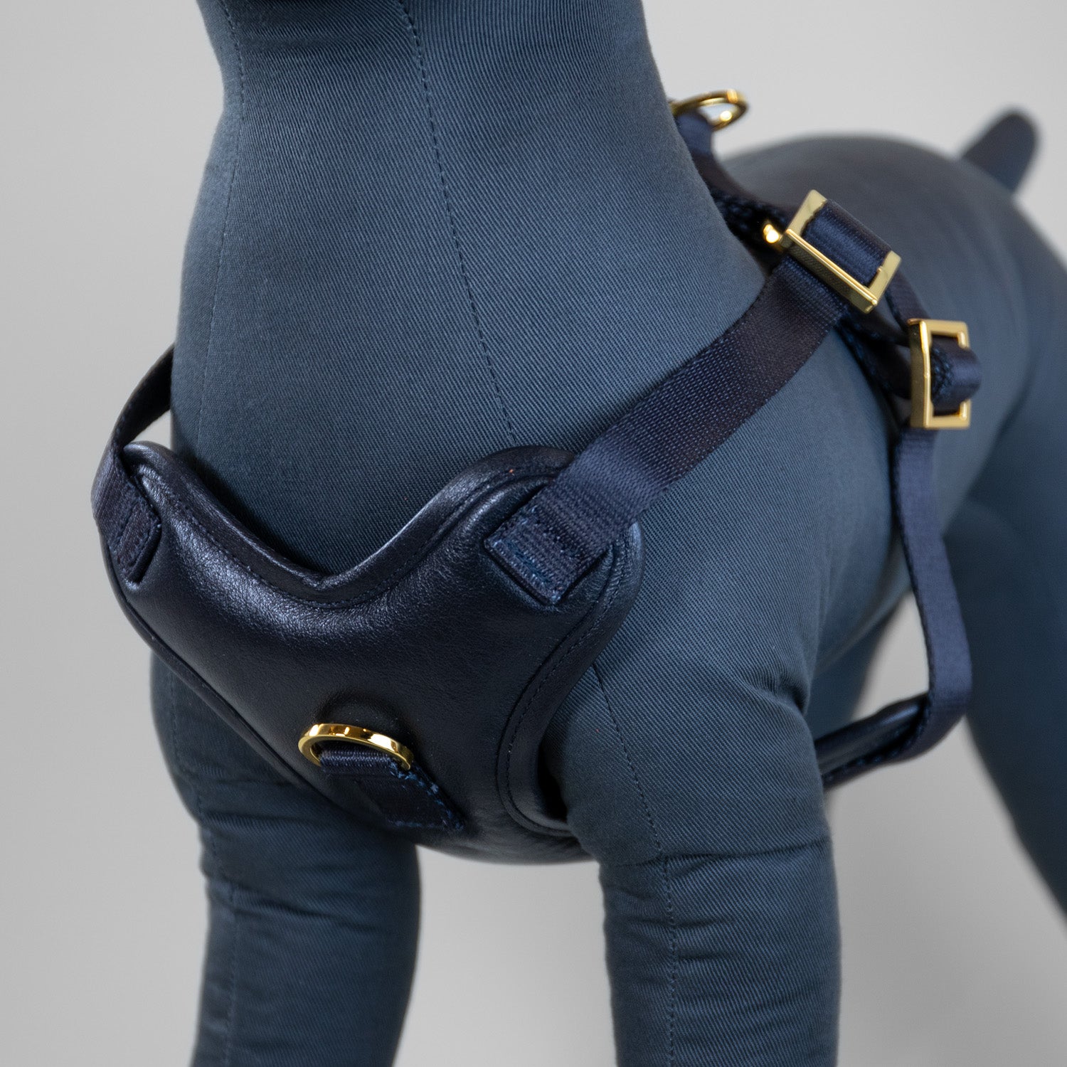 The Original Harness