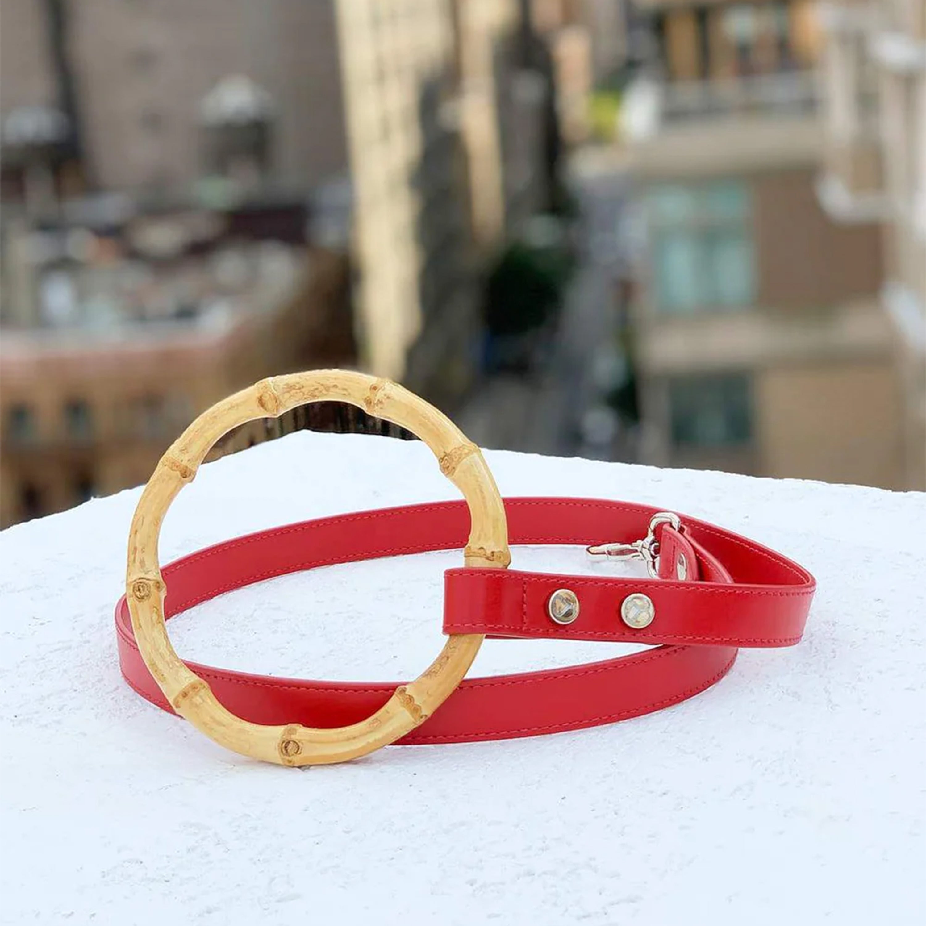 Idyllic Italian Leash