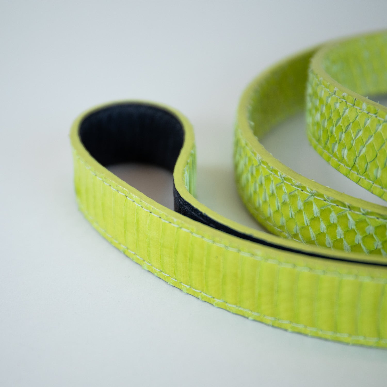 Neon Borealis Leash