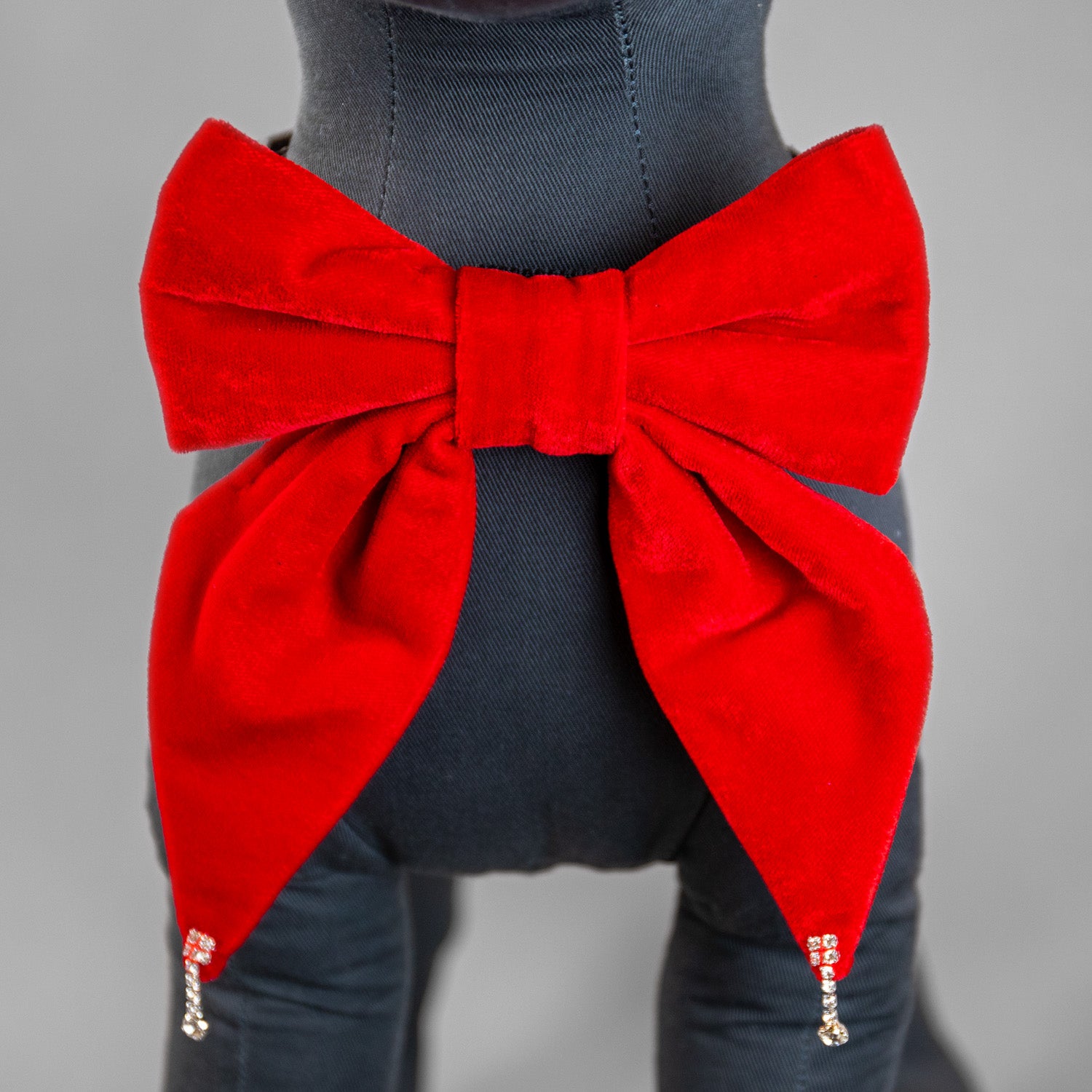 Glistening Velvet Bow