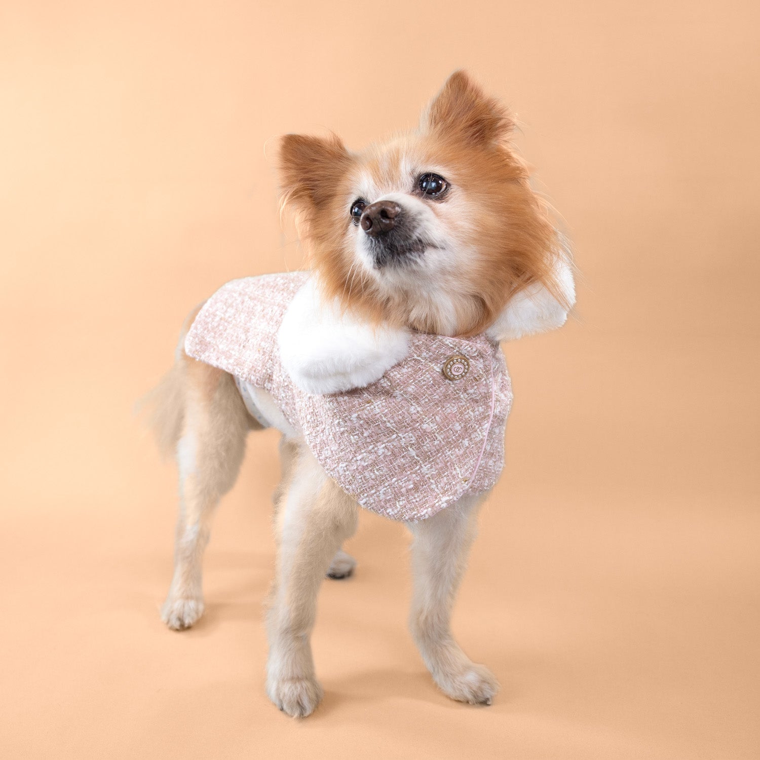 The Antionette Overcoat