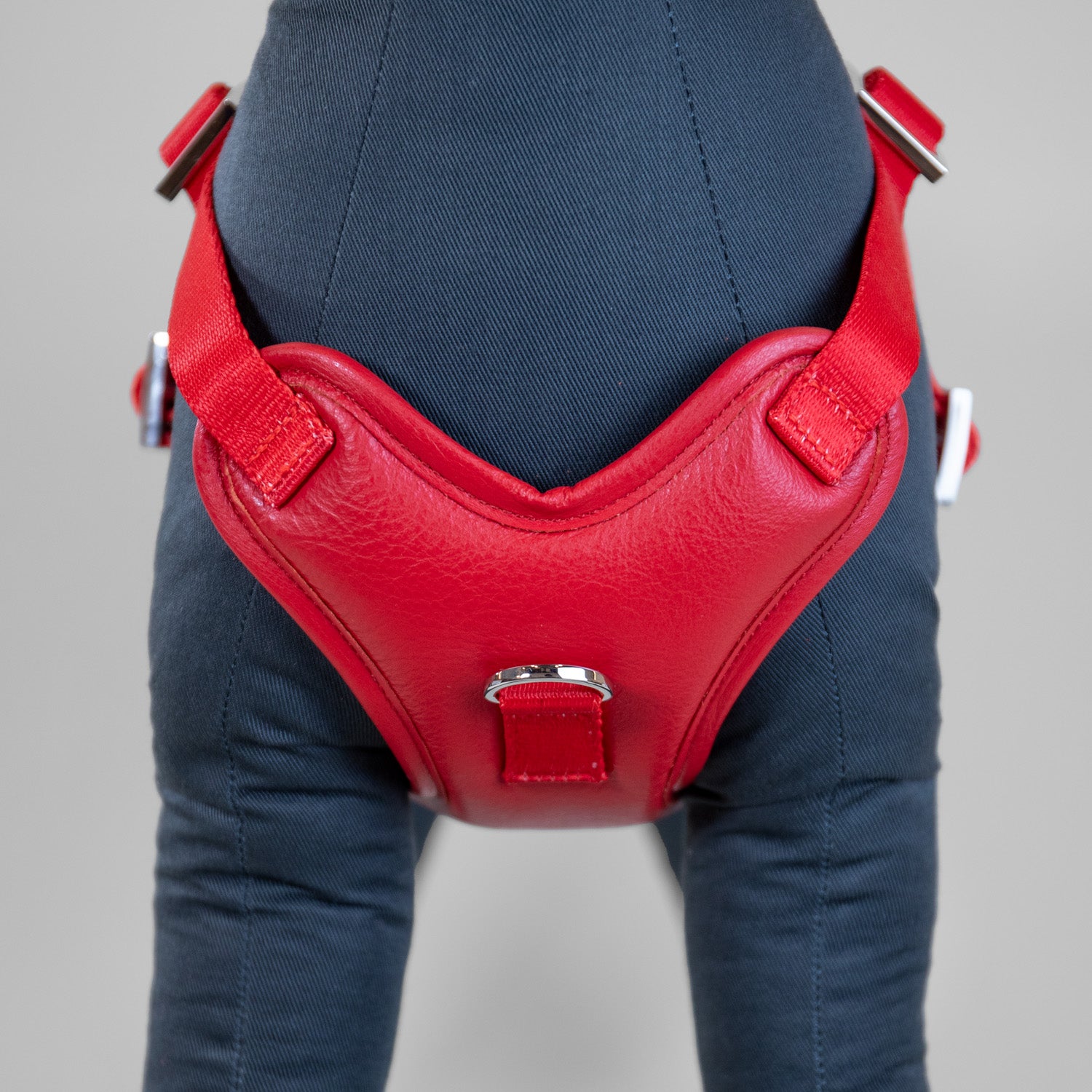The Original Harness