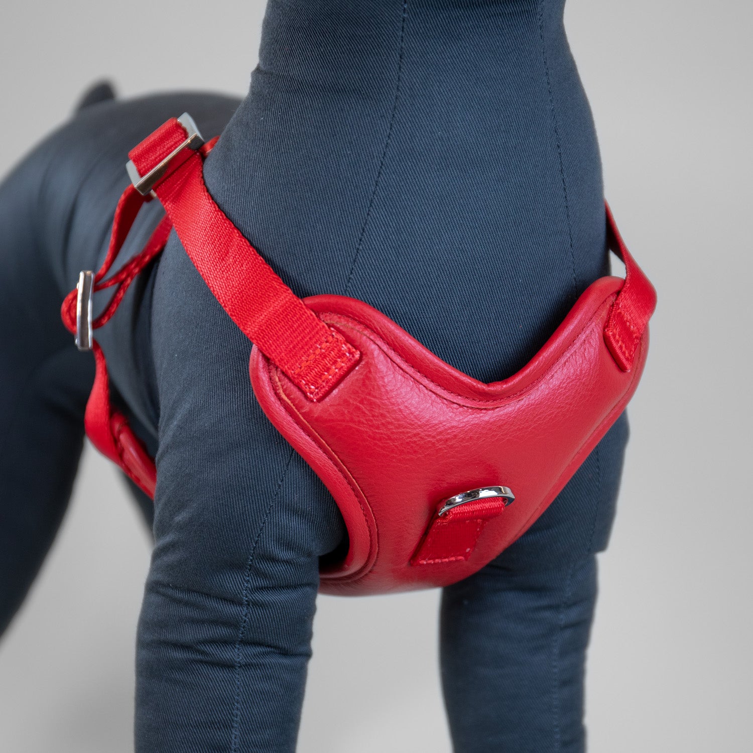 The Original Harness