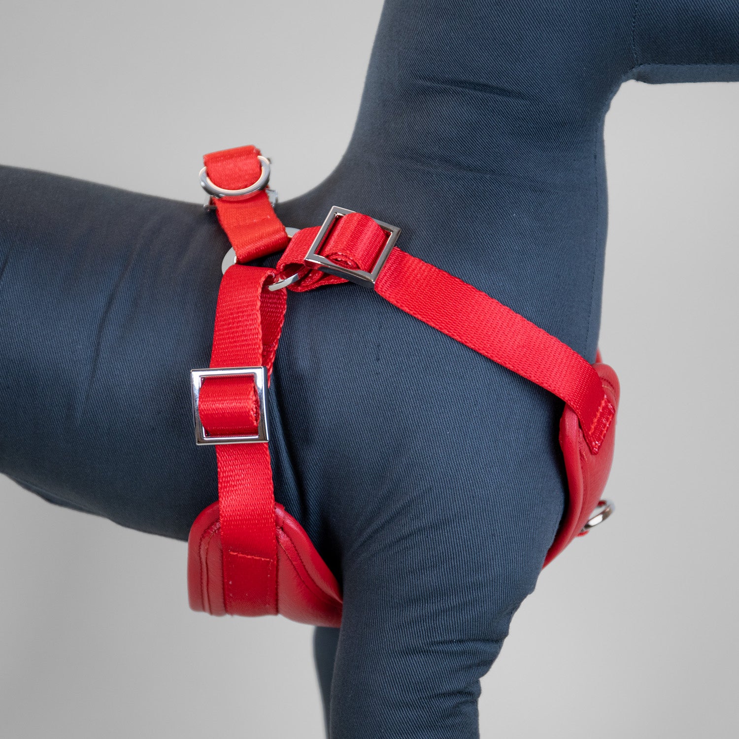 The Original Harness