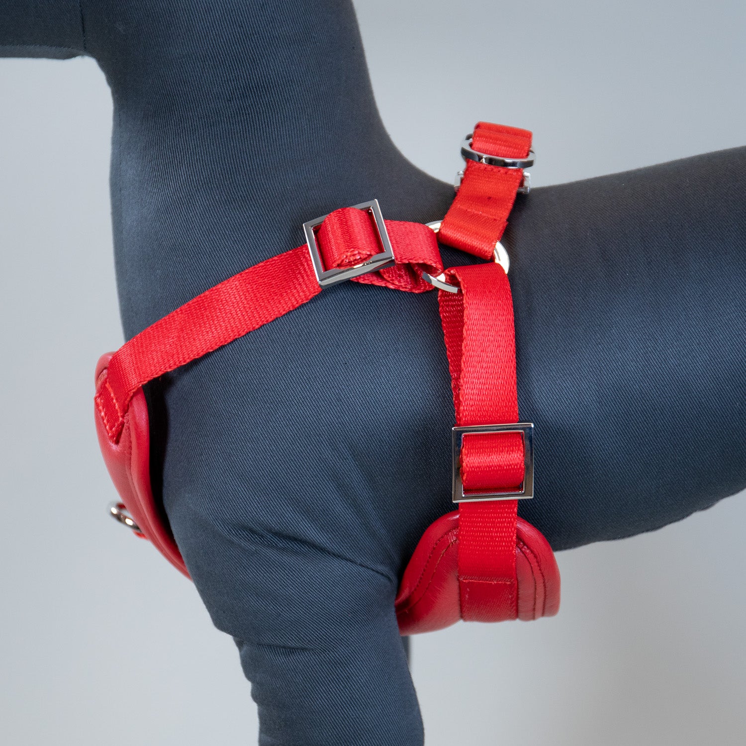 The Original Harness