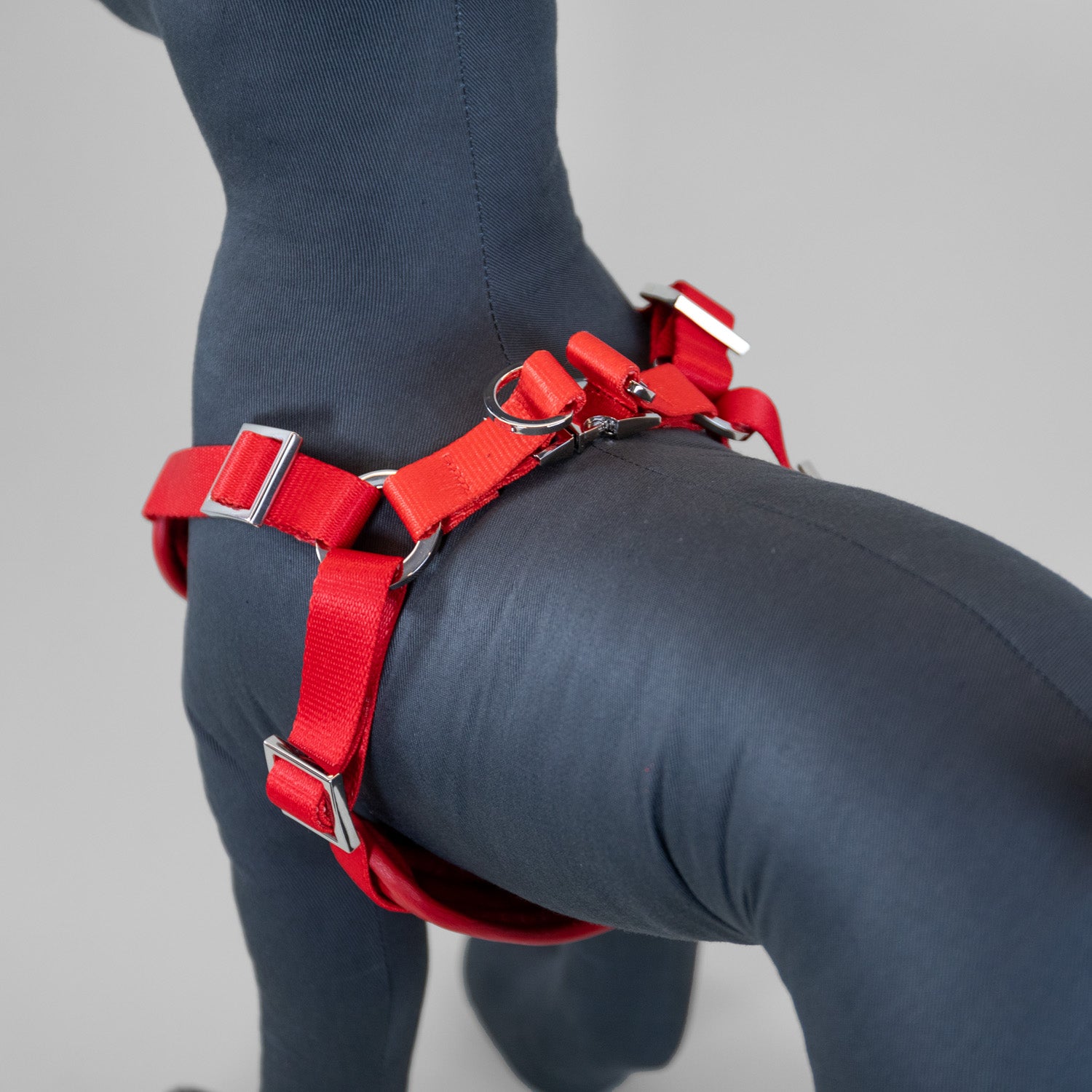 The Original Harness