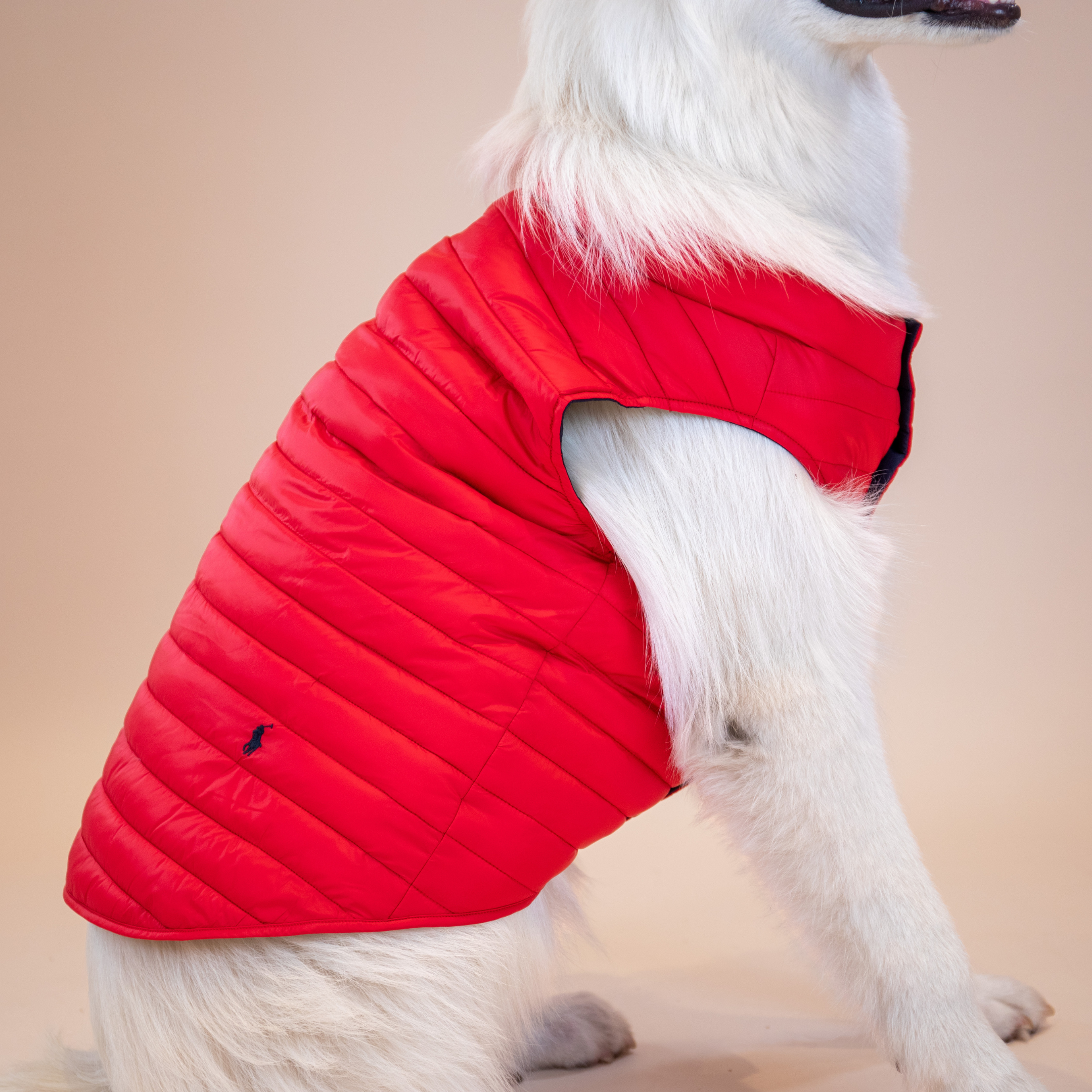 Ralph Lauren Puffer Jacket