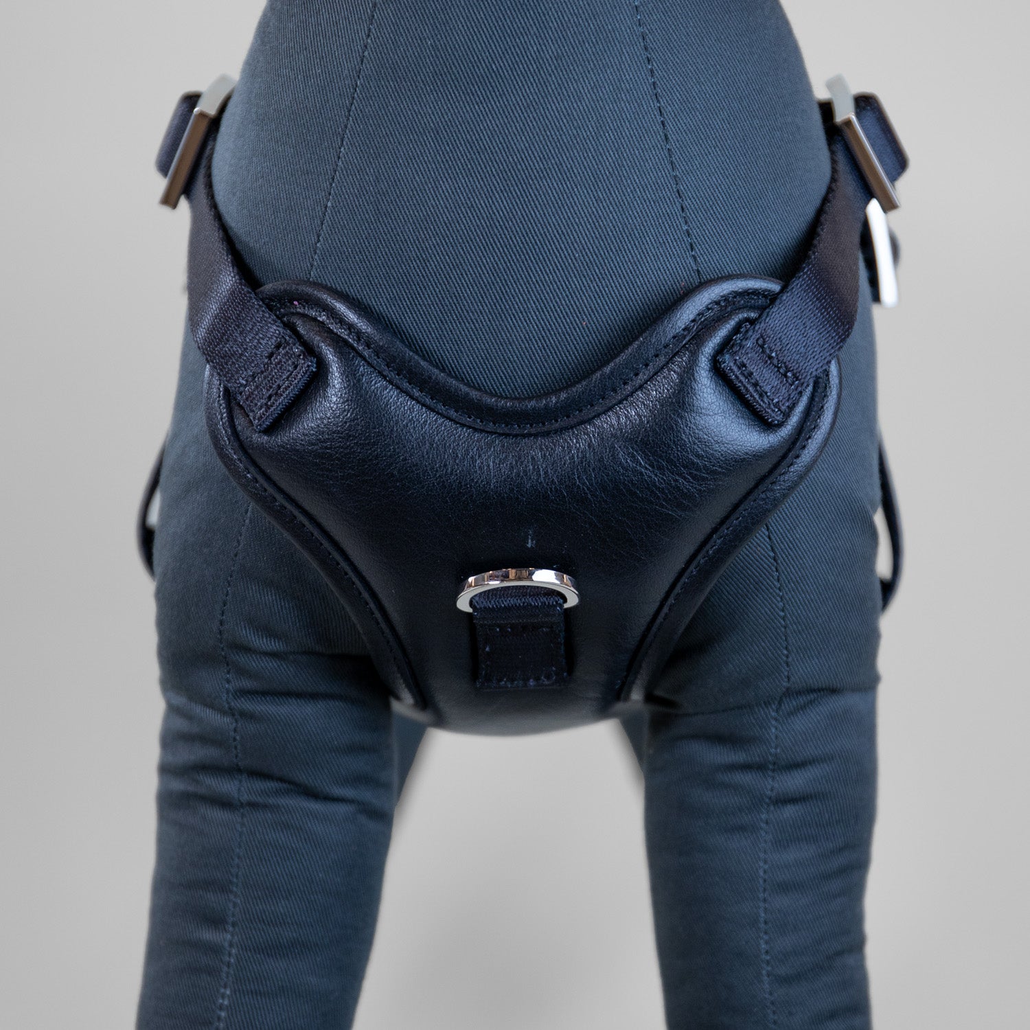The Original Harness