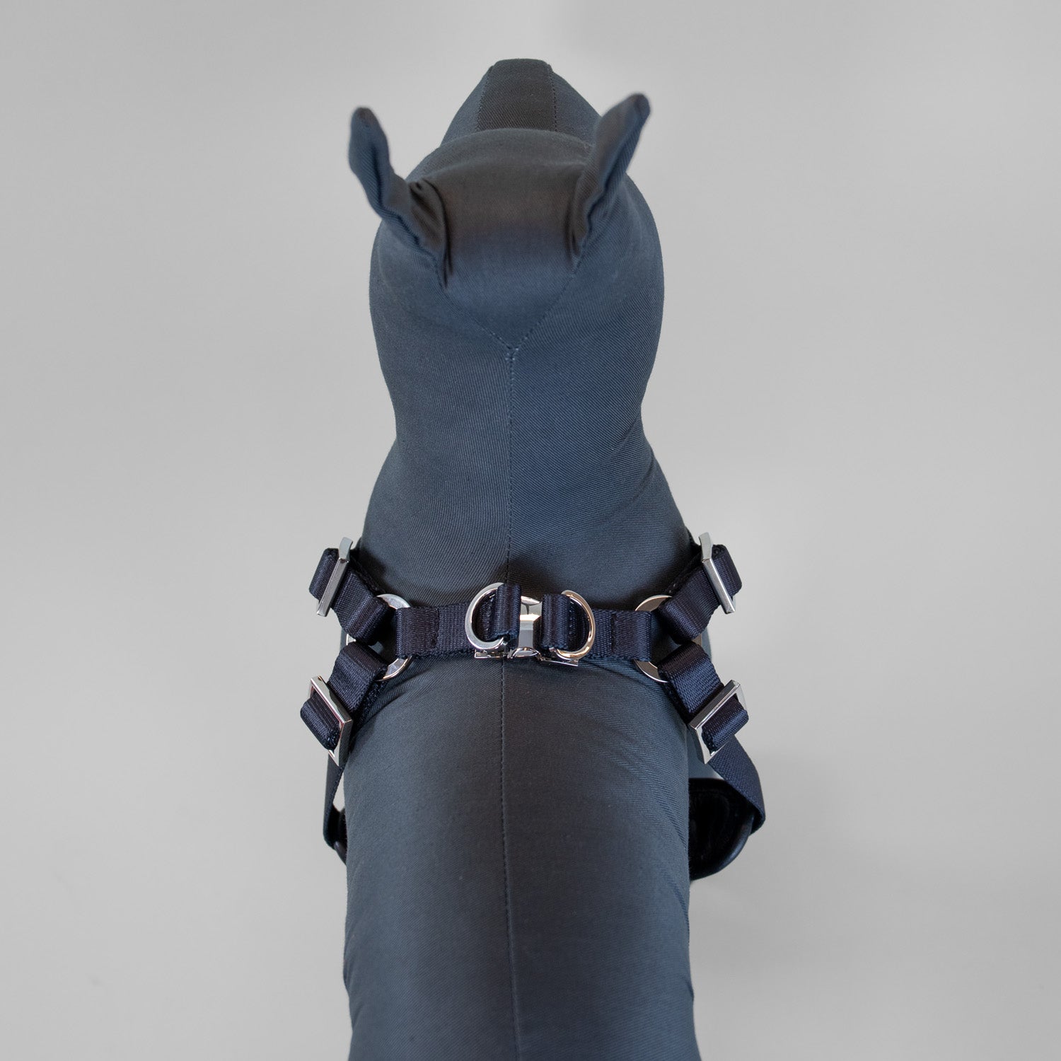 The Original Harness