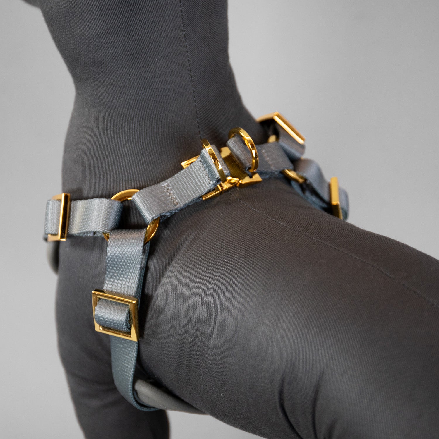 The Original Harness