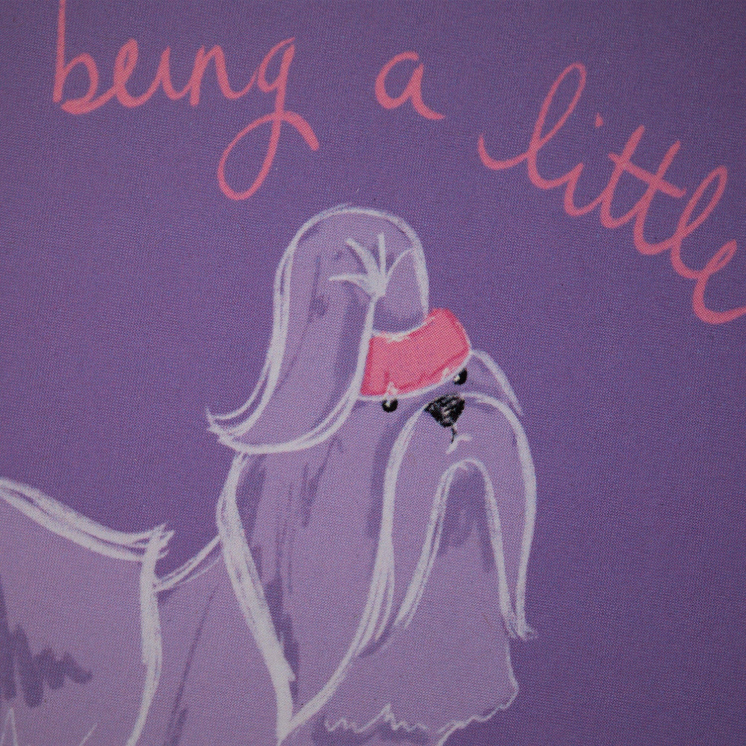 Sorry Shihtzu Greeting Card