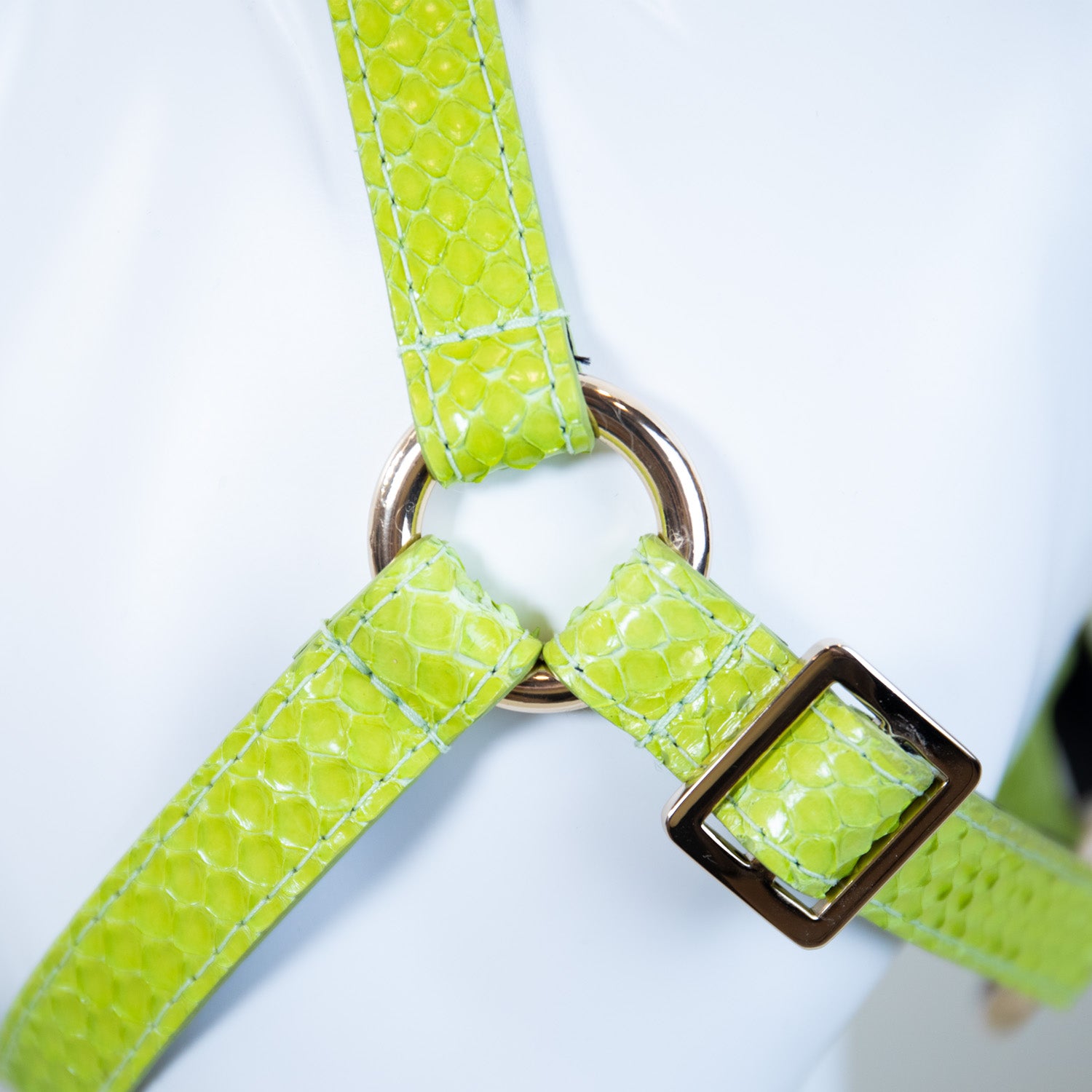 Neon Borealis Harness