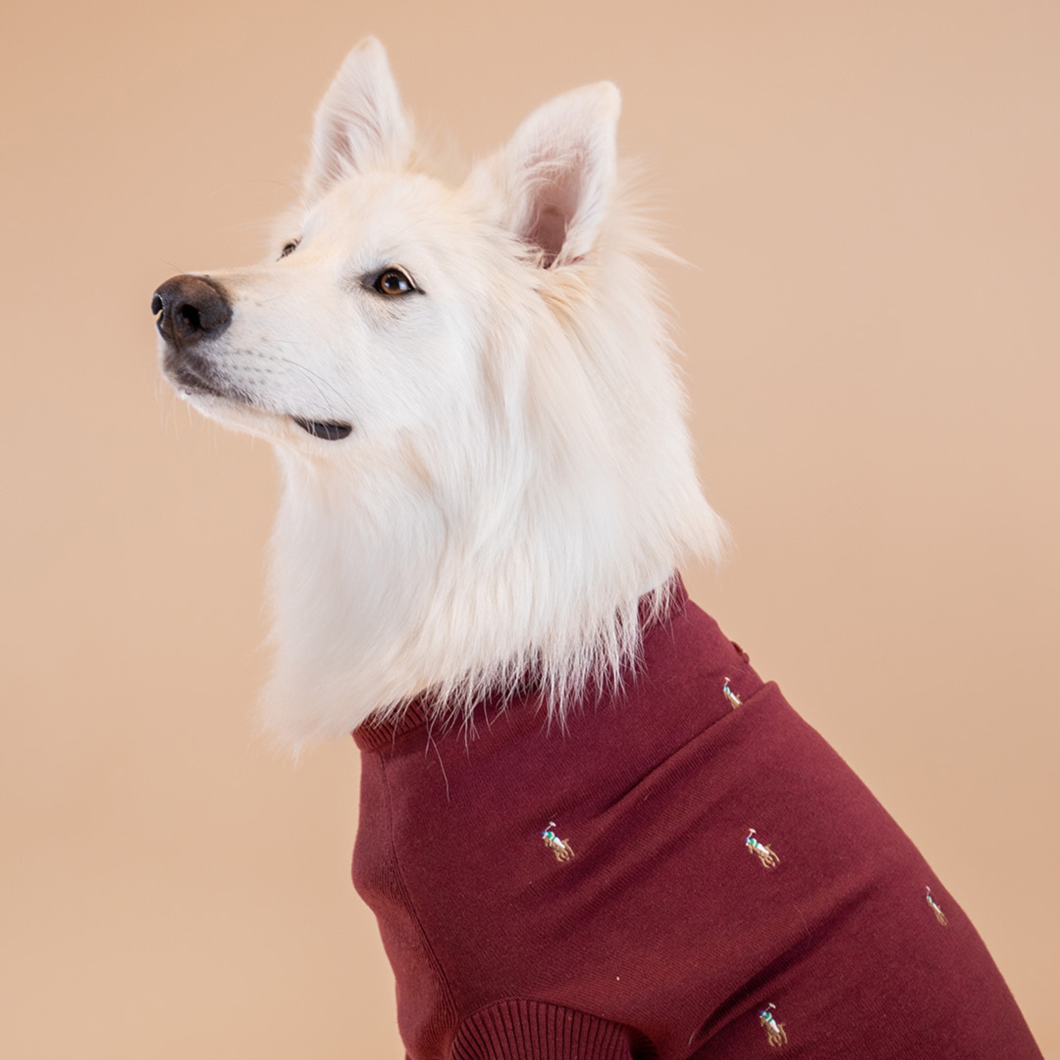 Ralph Lauren Logo Sweater