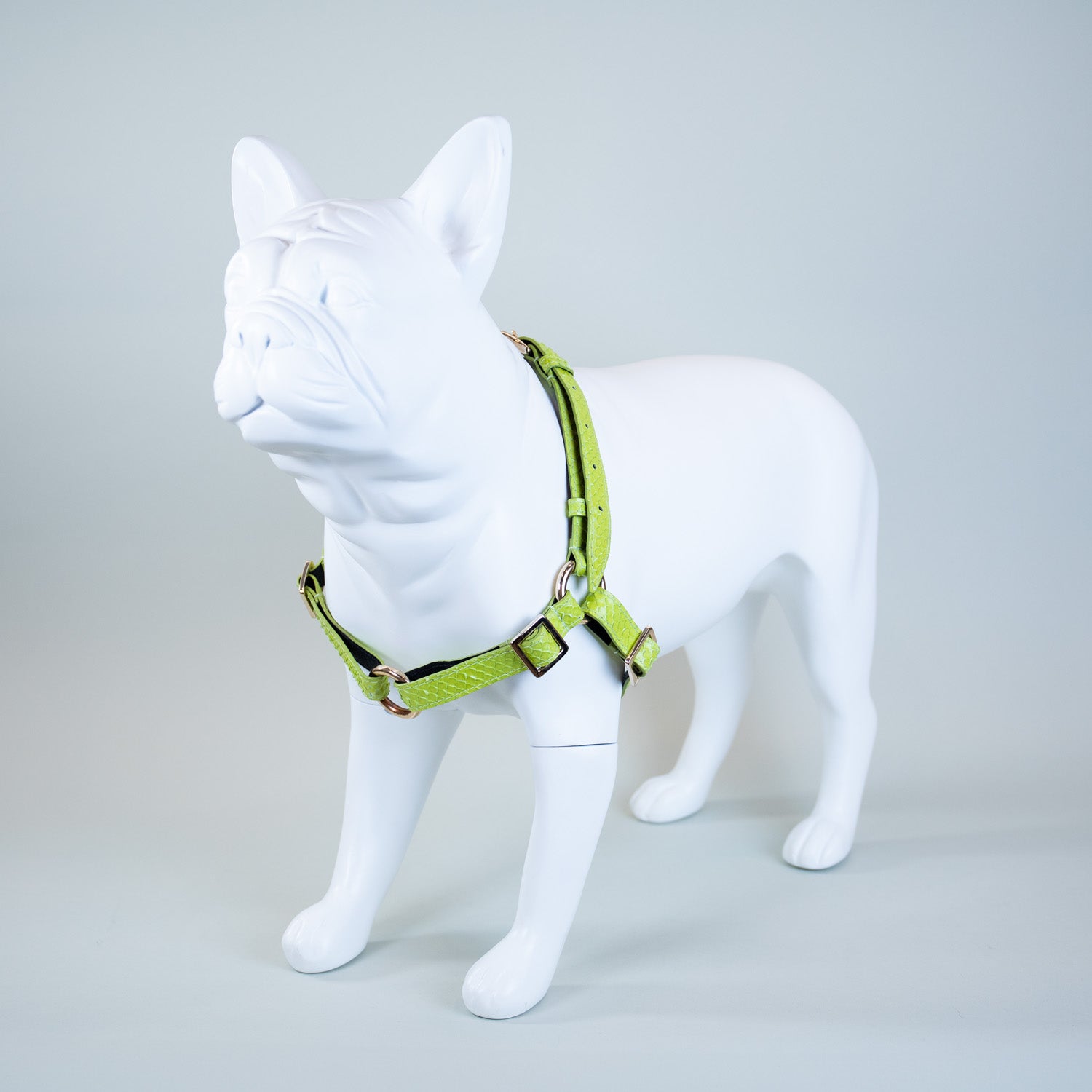 Neon Borealis Harness