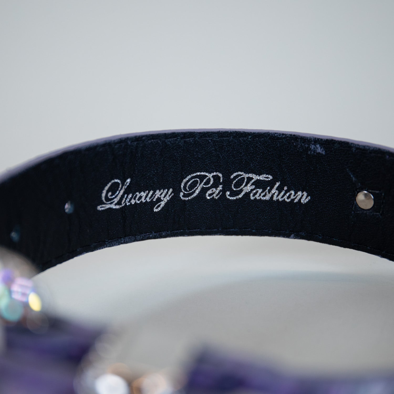 Monarch Snakeprint Collars