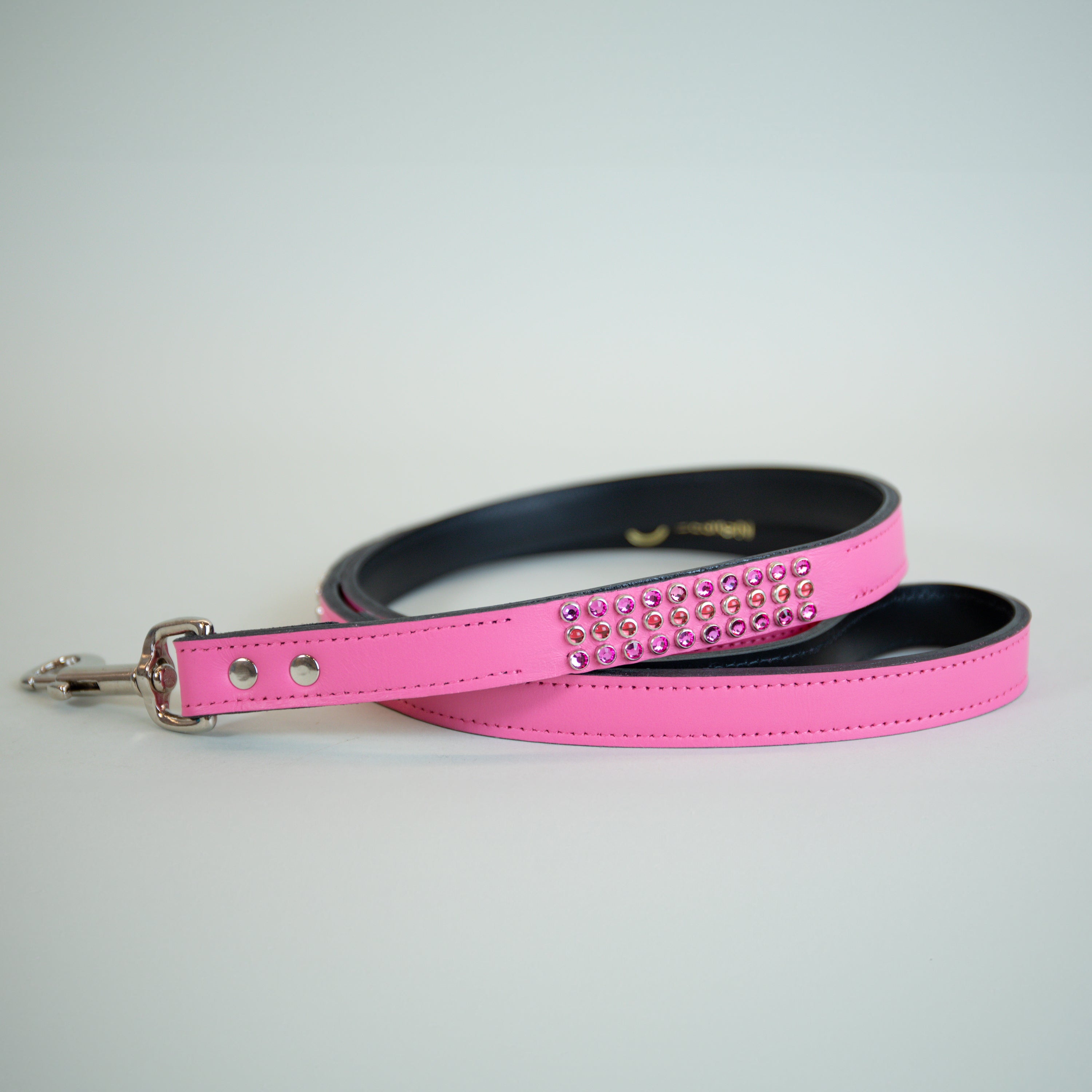 Burning Magnolia Leash