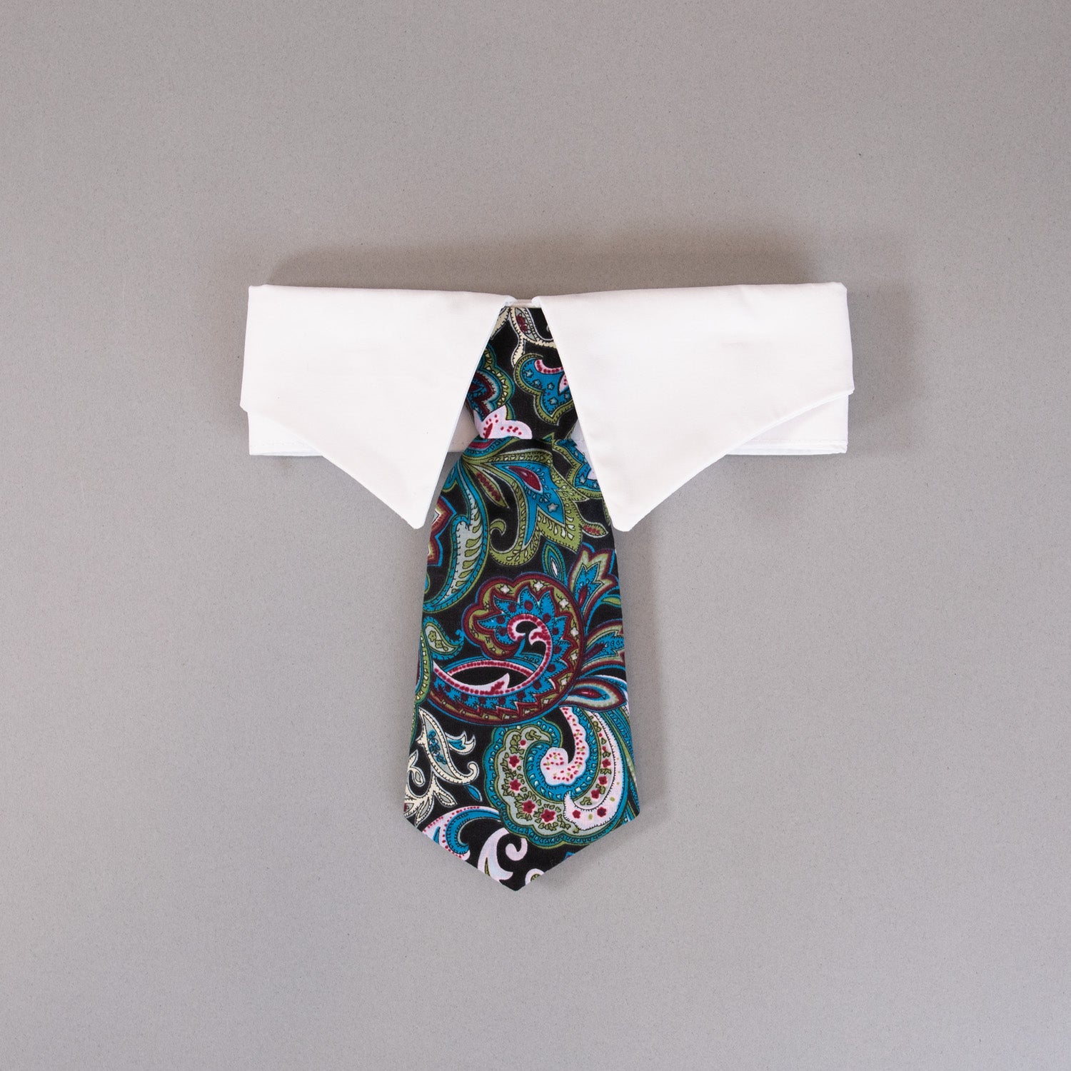 Paisley Tie