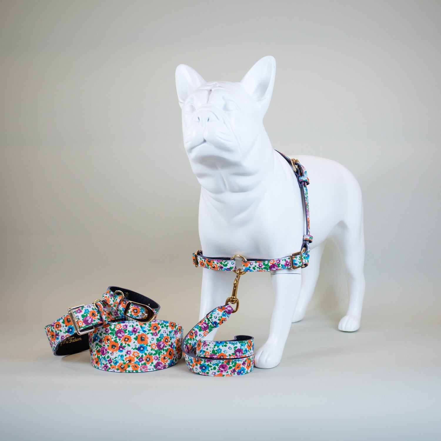 Playful Poppy Harness