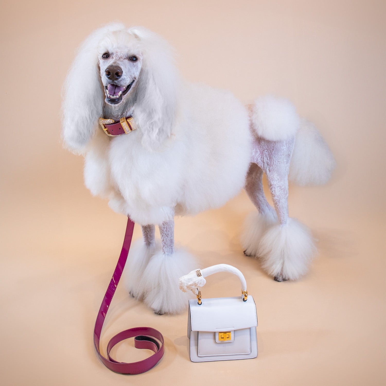 Glossy Mulberry Leash