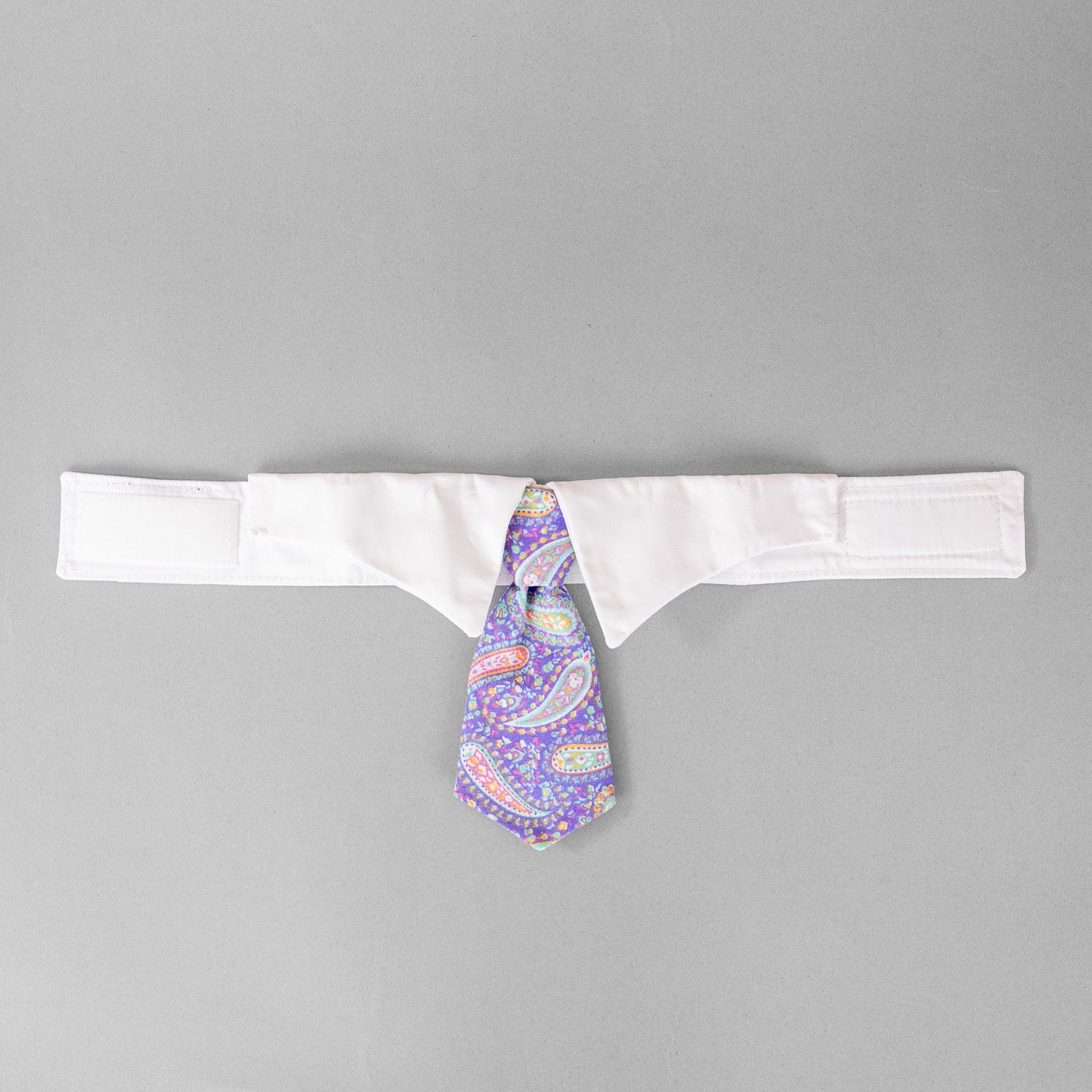 Paisley Tie