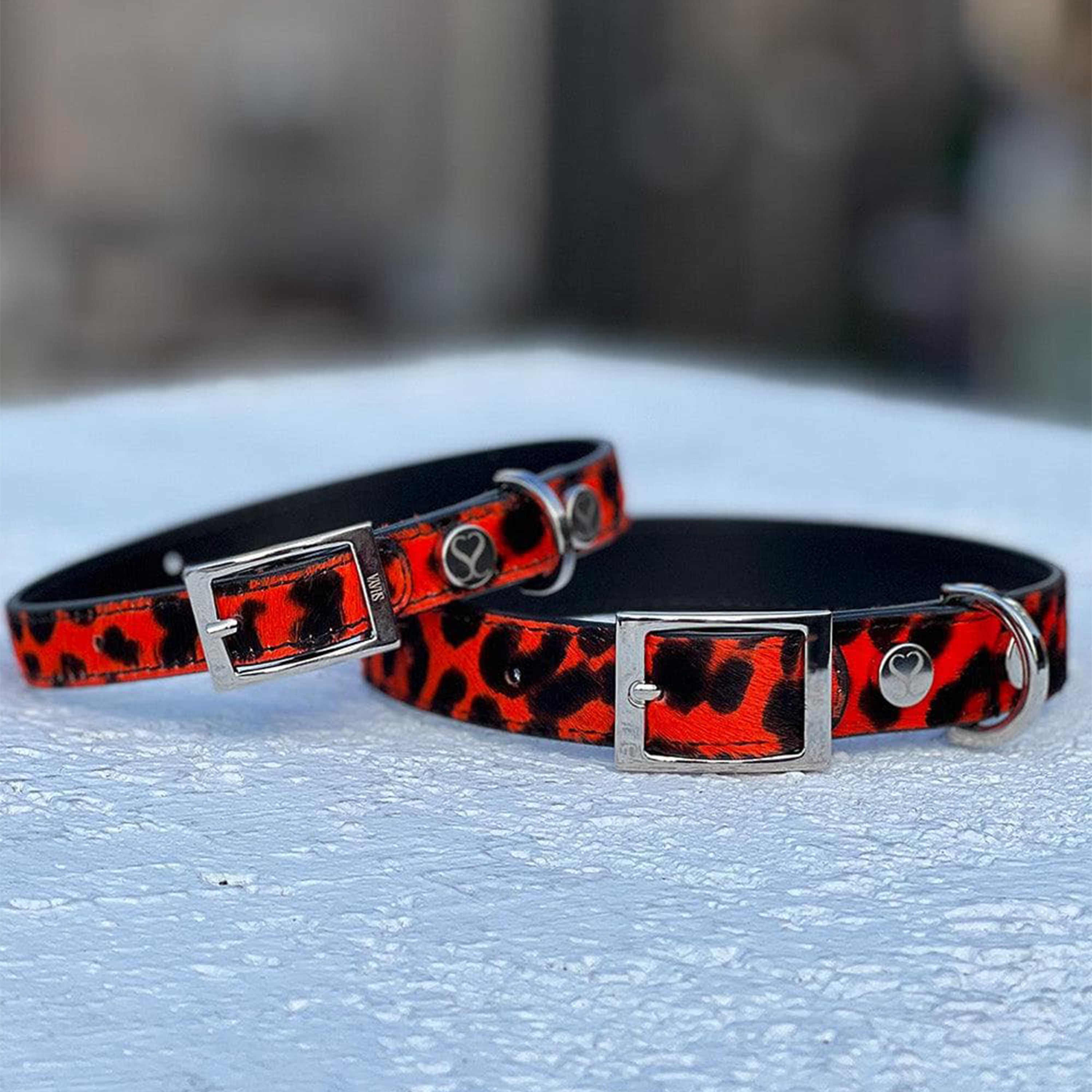Leopardo Italian Collar