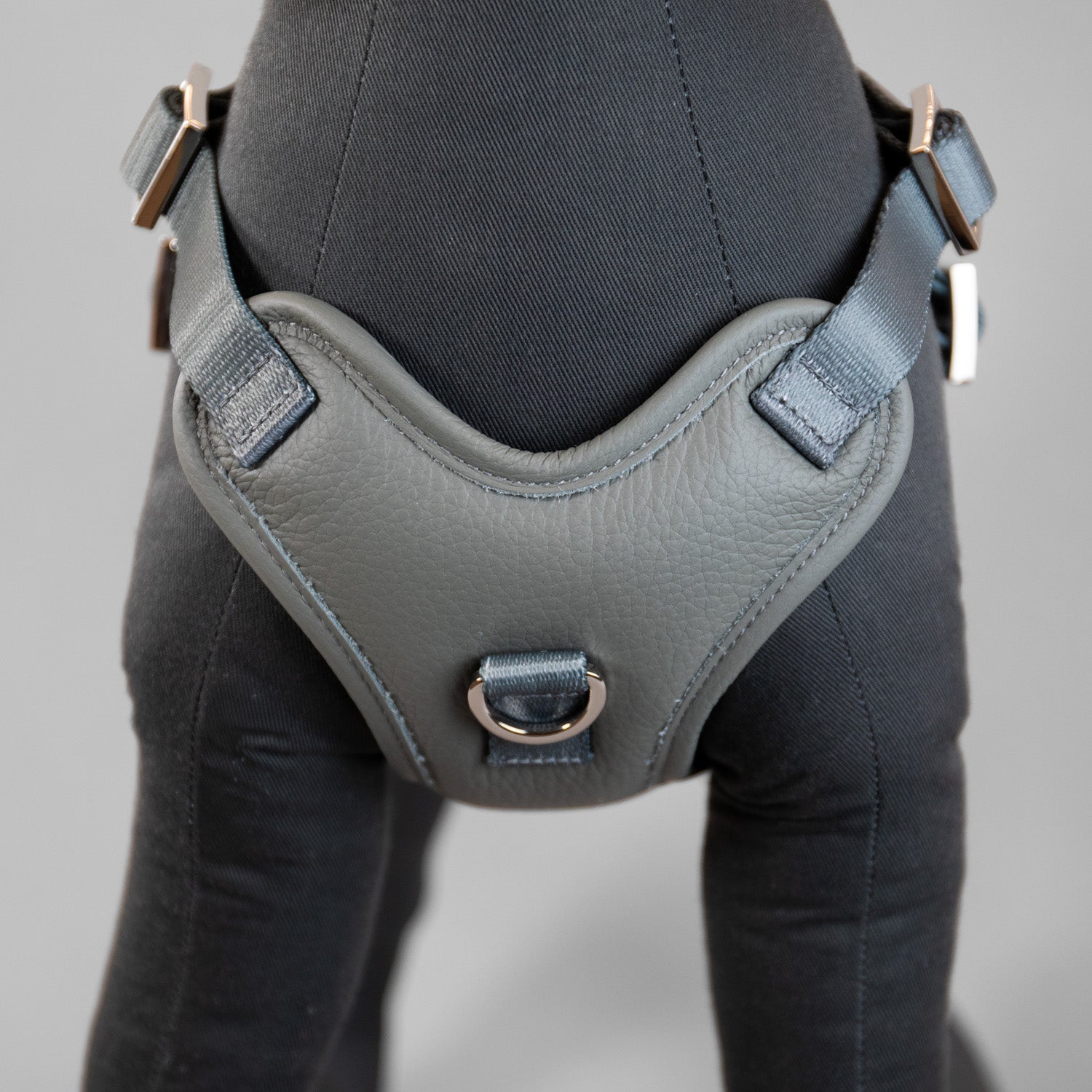 The Original Harness